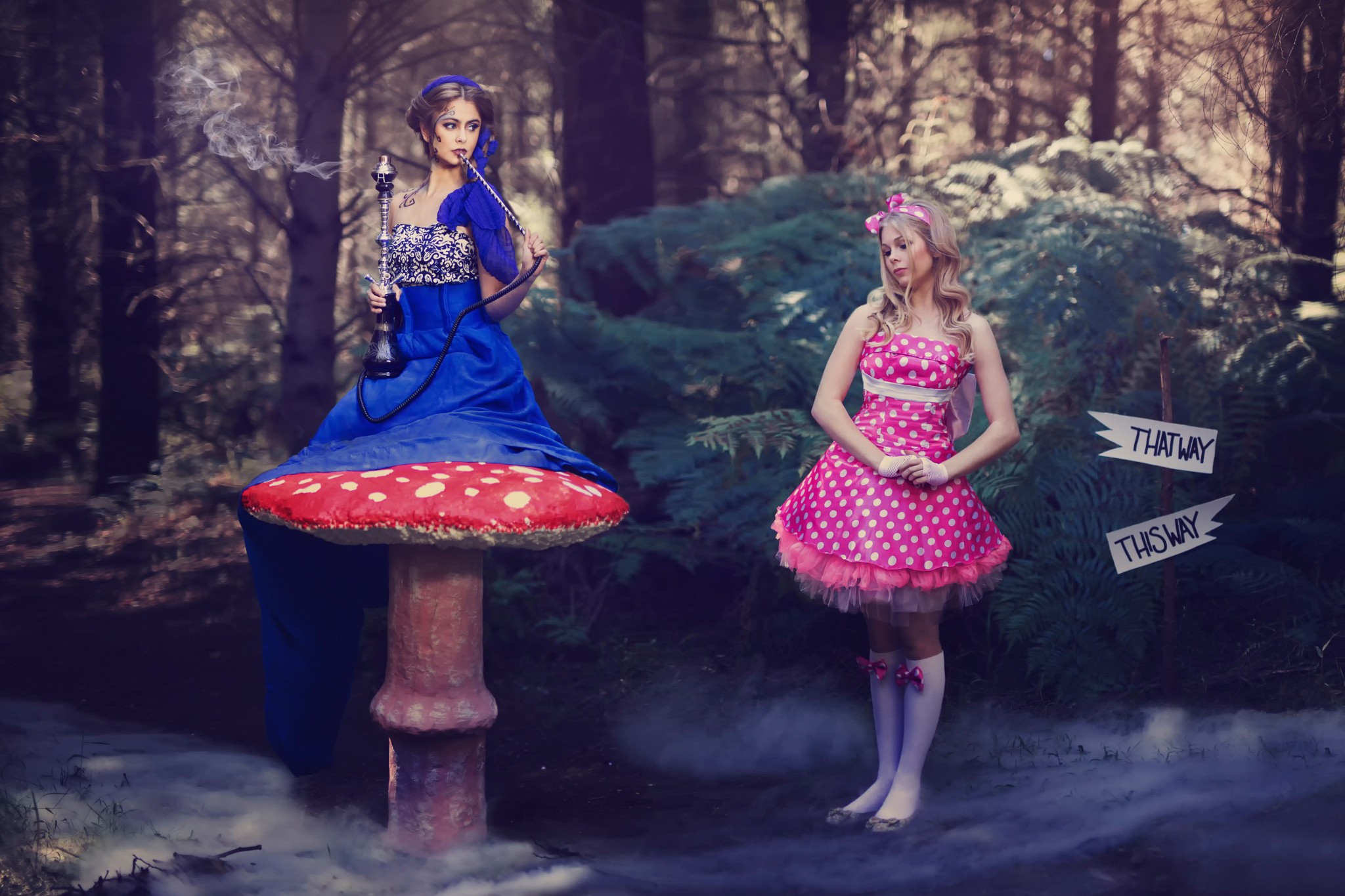 Fantasy Art Women Two Women Costumes Blonde Fairy Tale Alice In Wonderland 2048x1365