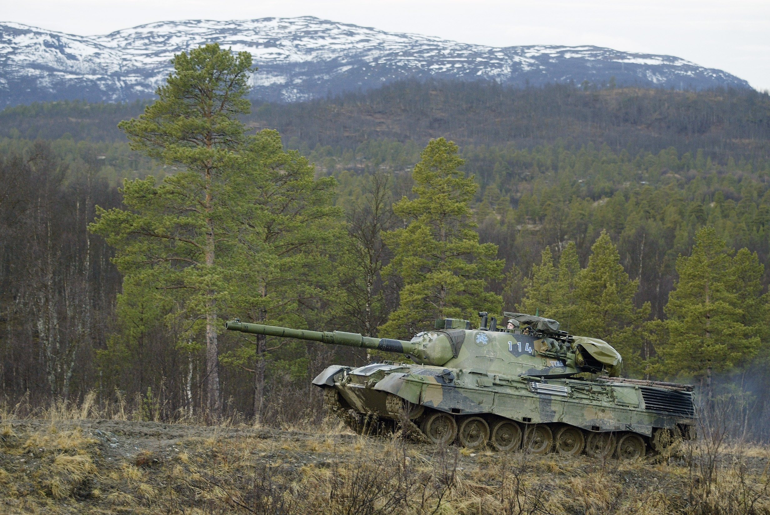 Military Leopard 1 2464x1648