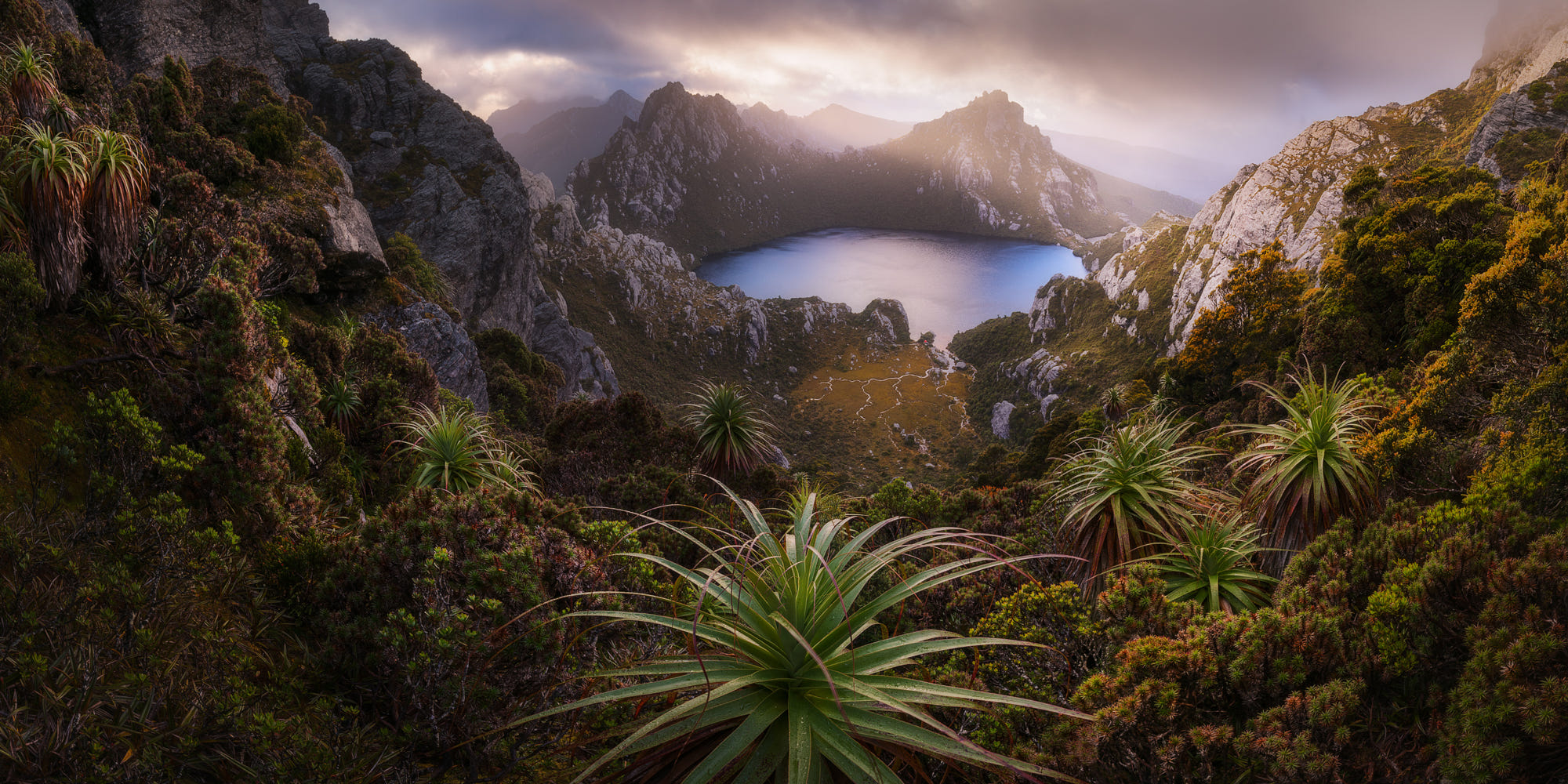500px Nature Garden Australia Tasmania Landscape Mountains Southwest National Park Plants 2000x1000