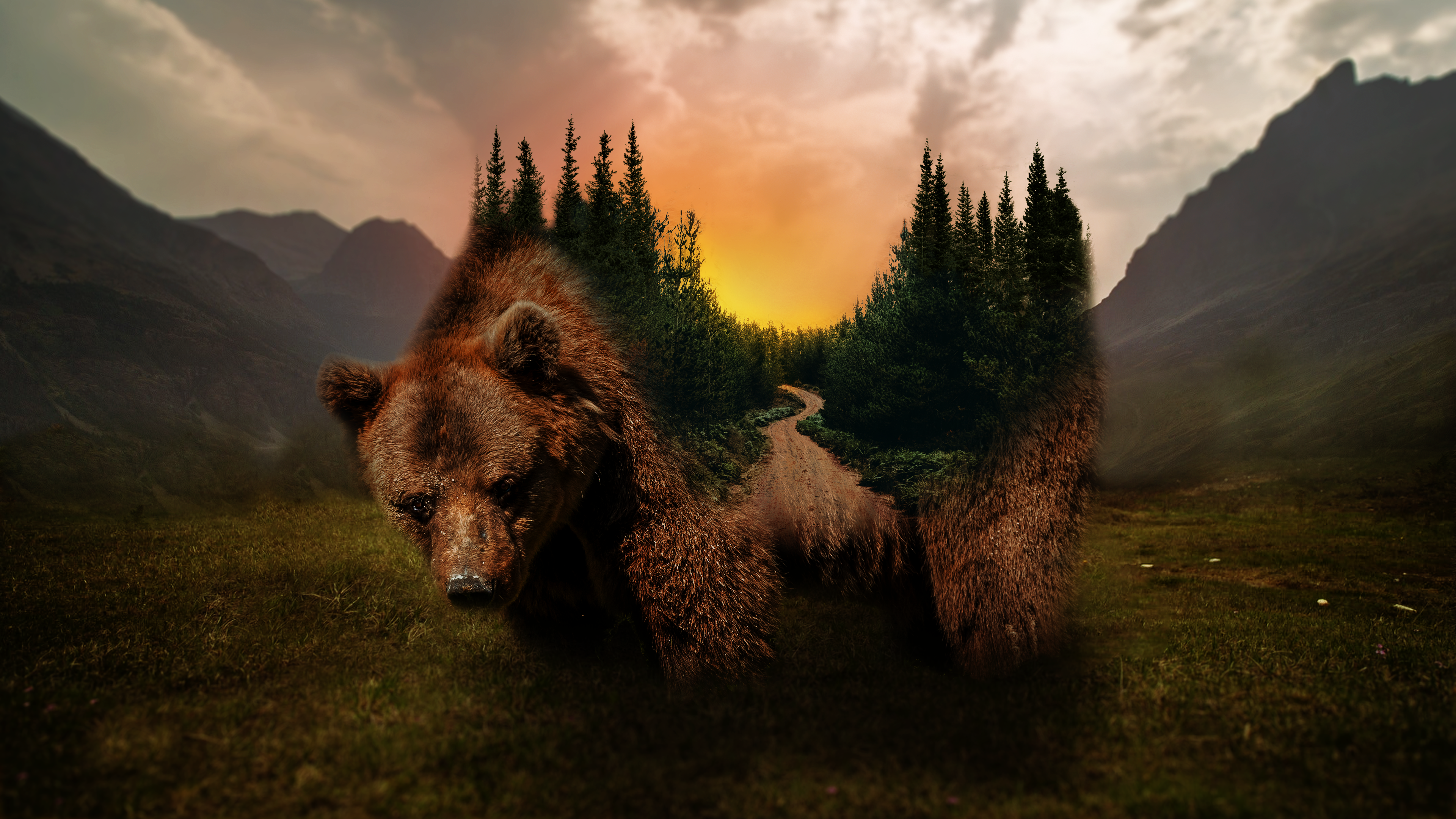 Grizzly Bear Forest Sunset Nature Digital Art 3840x2160