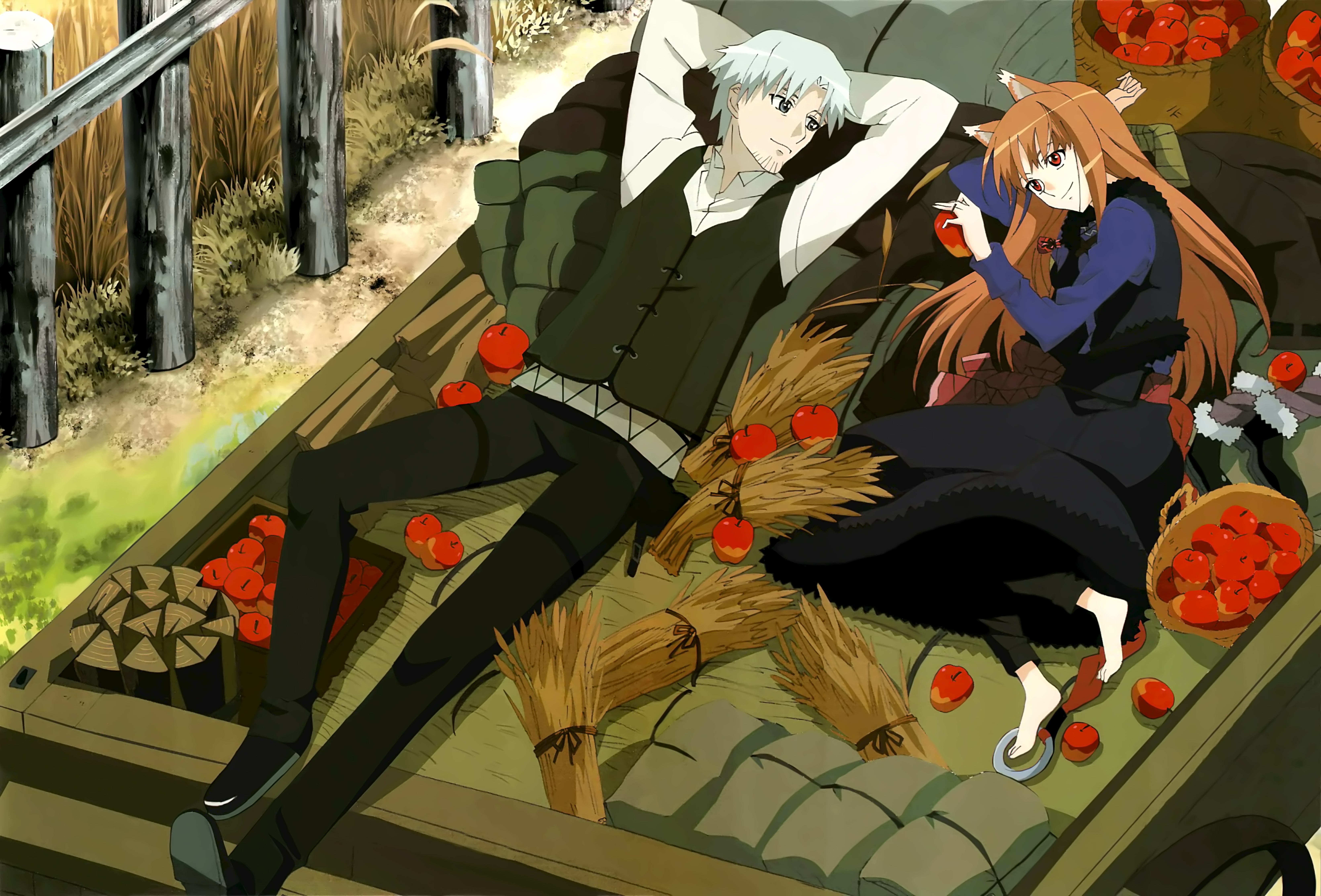 Anime Spice And Wolf Holo Spice And Wolf 6575x4460