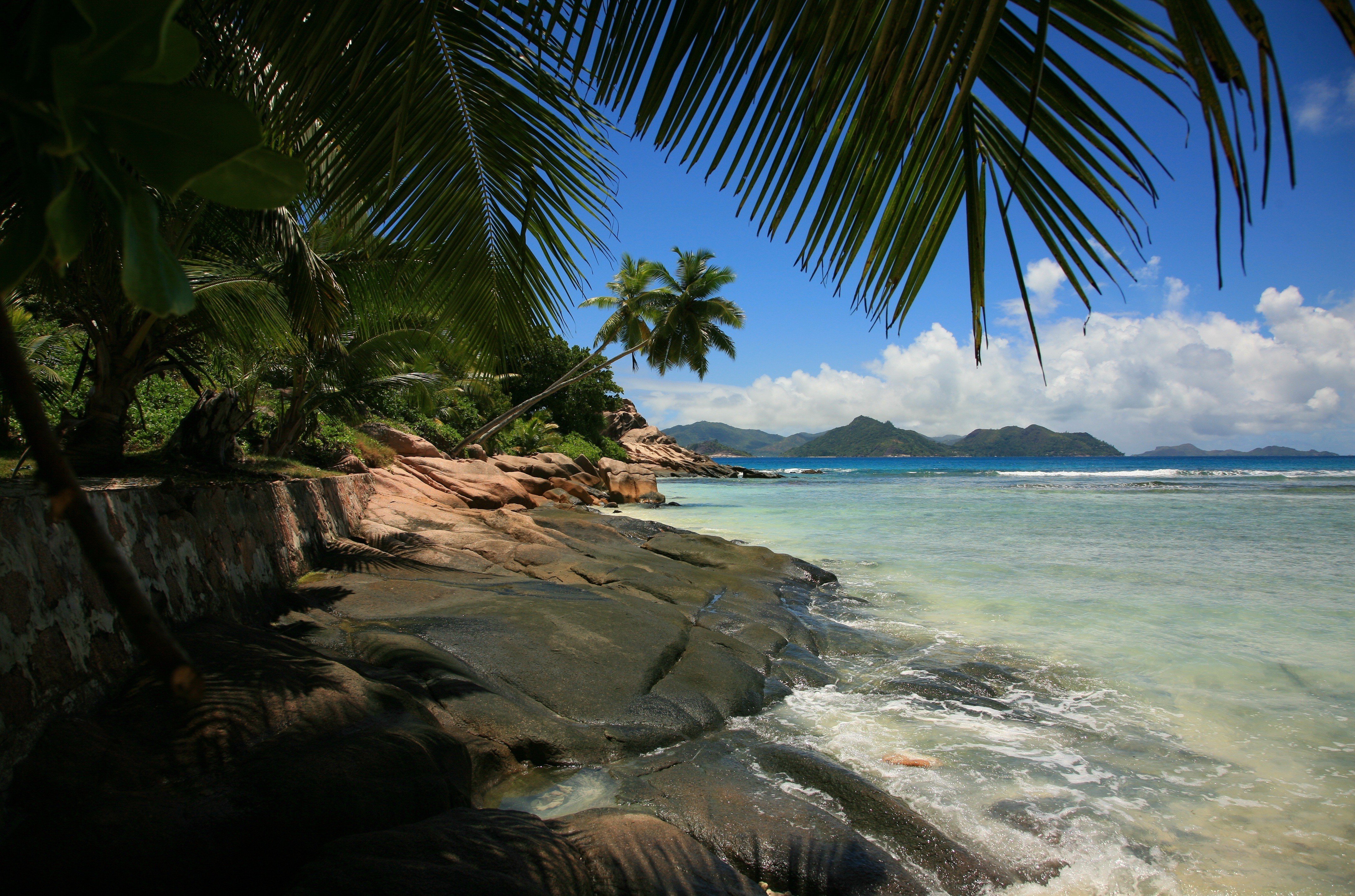 Seashore Palm Tree Sea Tropics 4368x2890