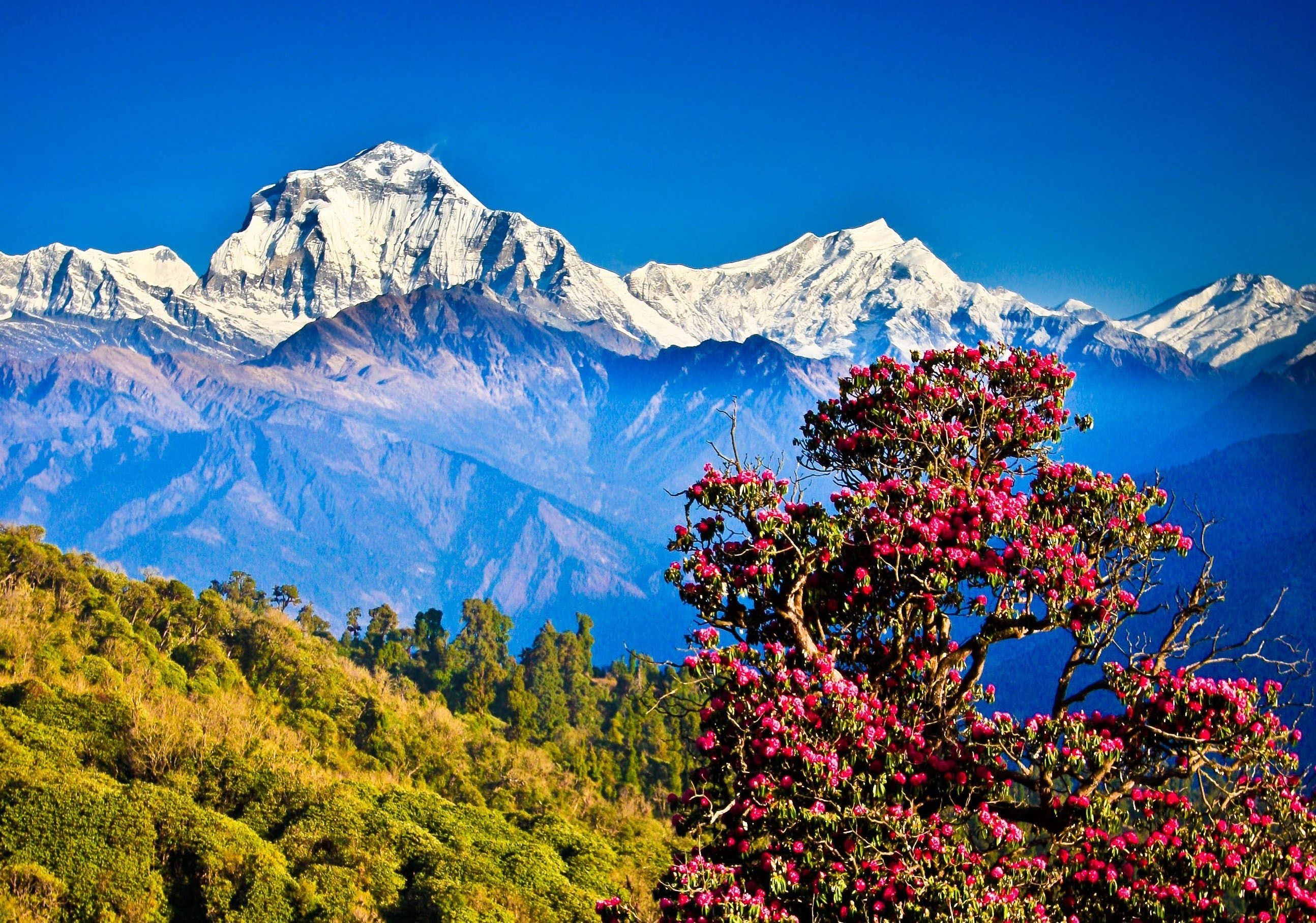 Nepal Himalayas Mountains Nature Landscape Clear Sky Hills Trees 2588x1814