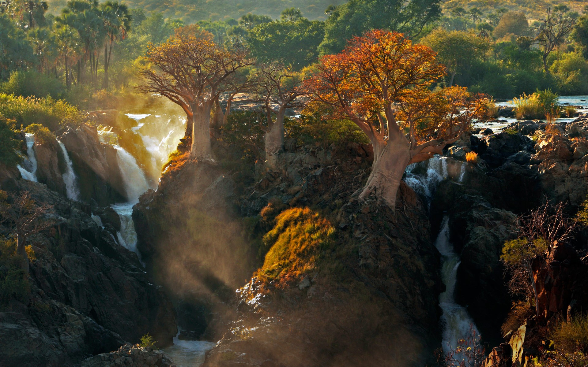 Earth Waterfall Rock Namibia Tree Forest Fall Africa 1920x1200