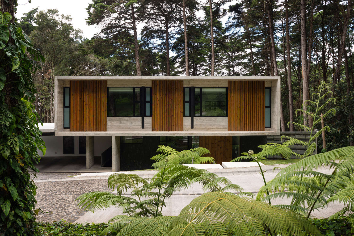 House Architecture Modern Forest Mansions 1500x1000