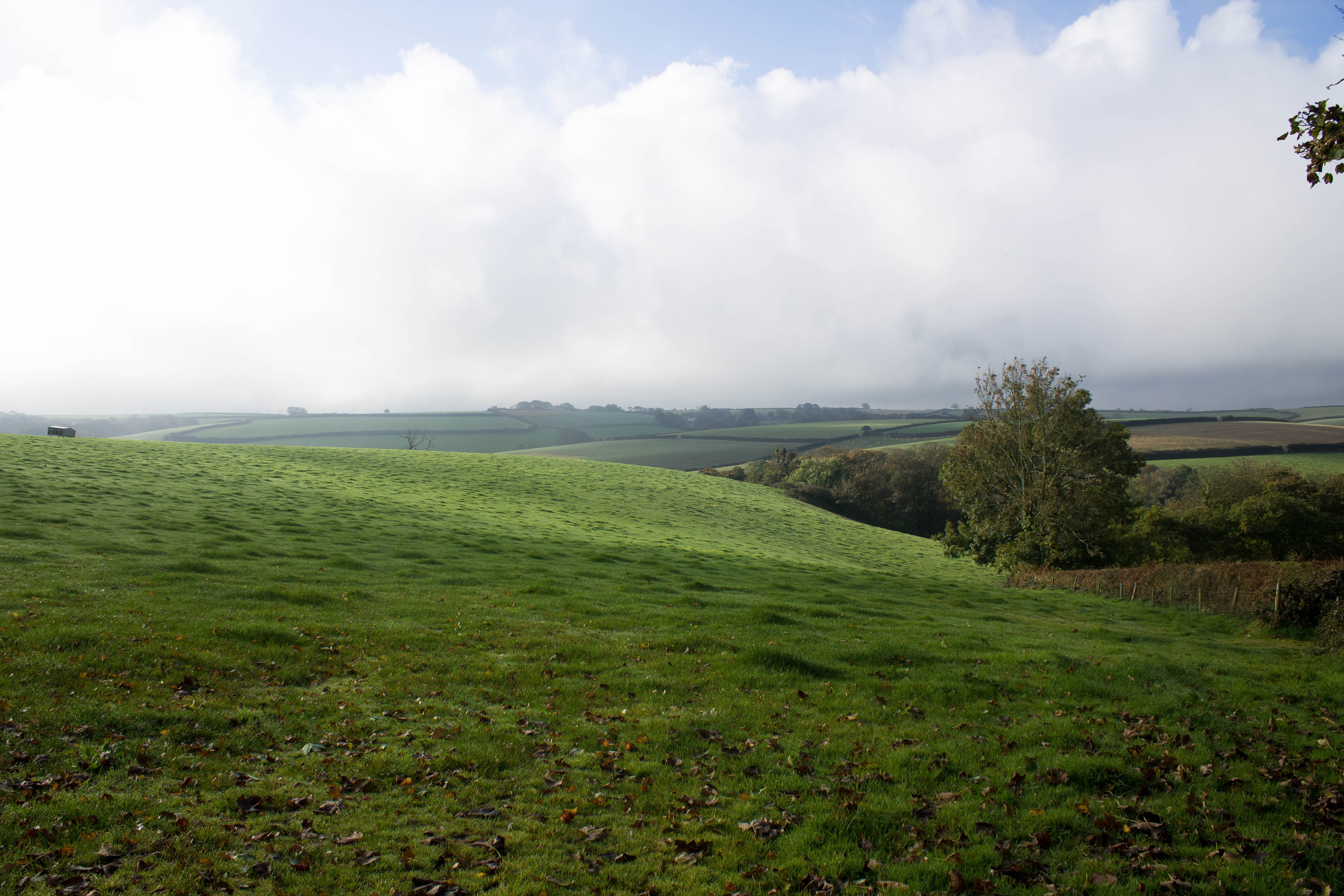 Landscape Nature Photoshop UK Raw The Lost Gardens Of Heligan 4272x2848