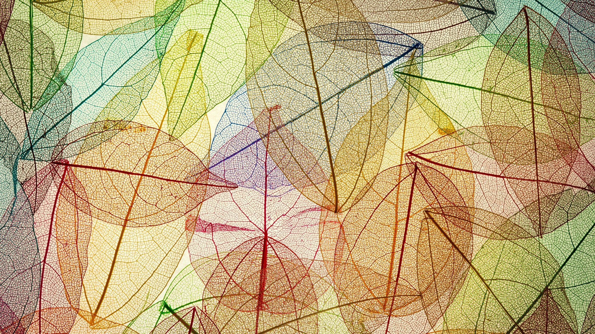 Colorful Leaves Fall Transparency Simple Background Pattern 1920x1080