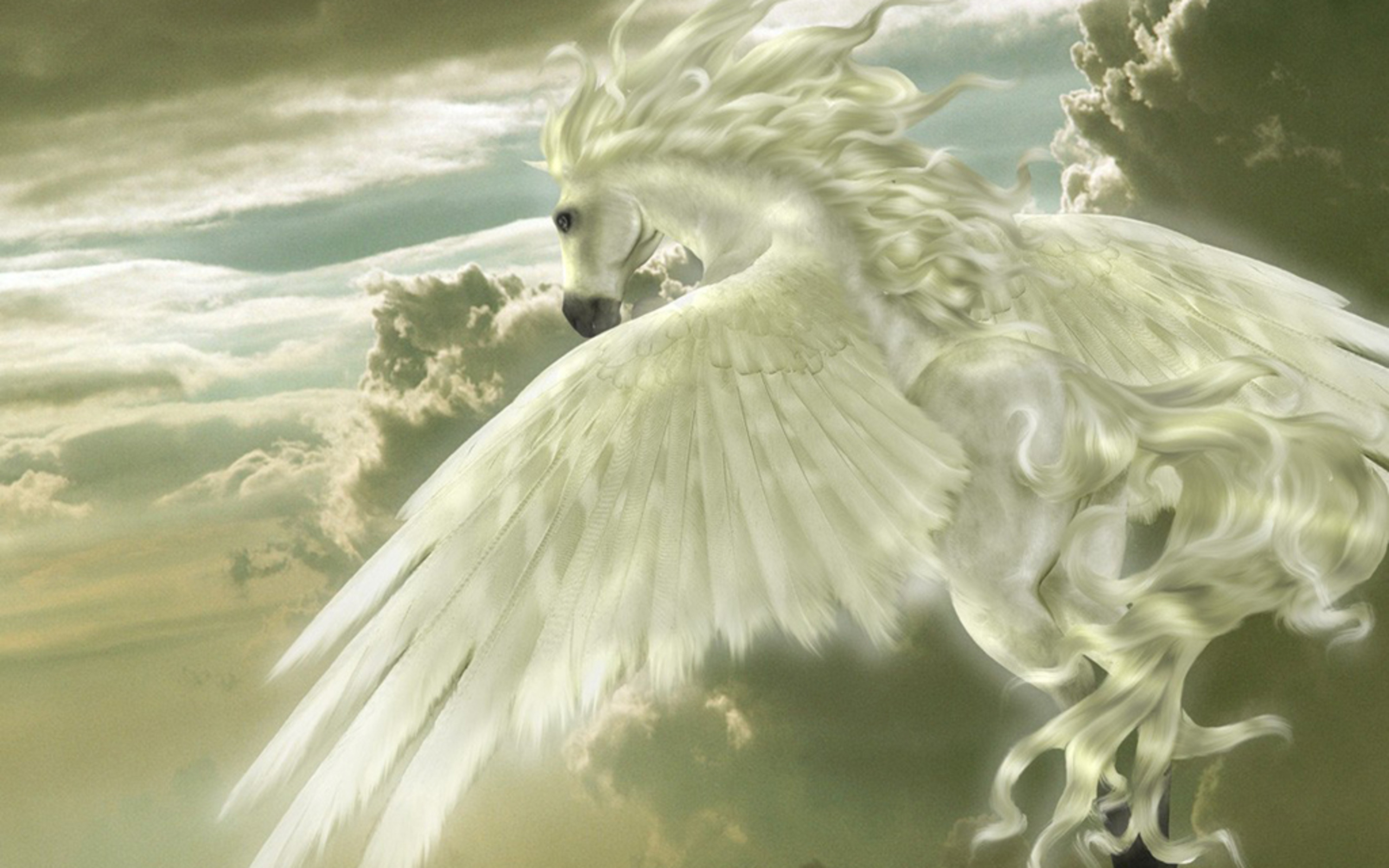 Fantasy Pegasus 2560x1600