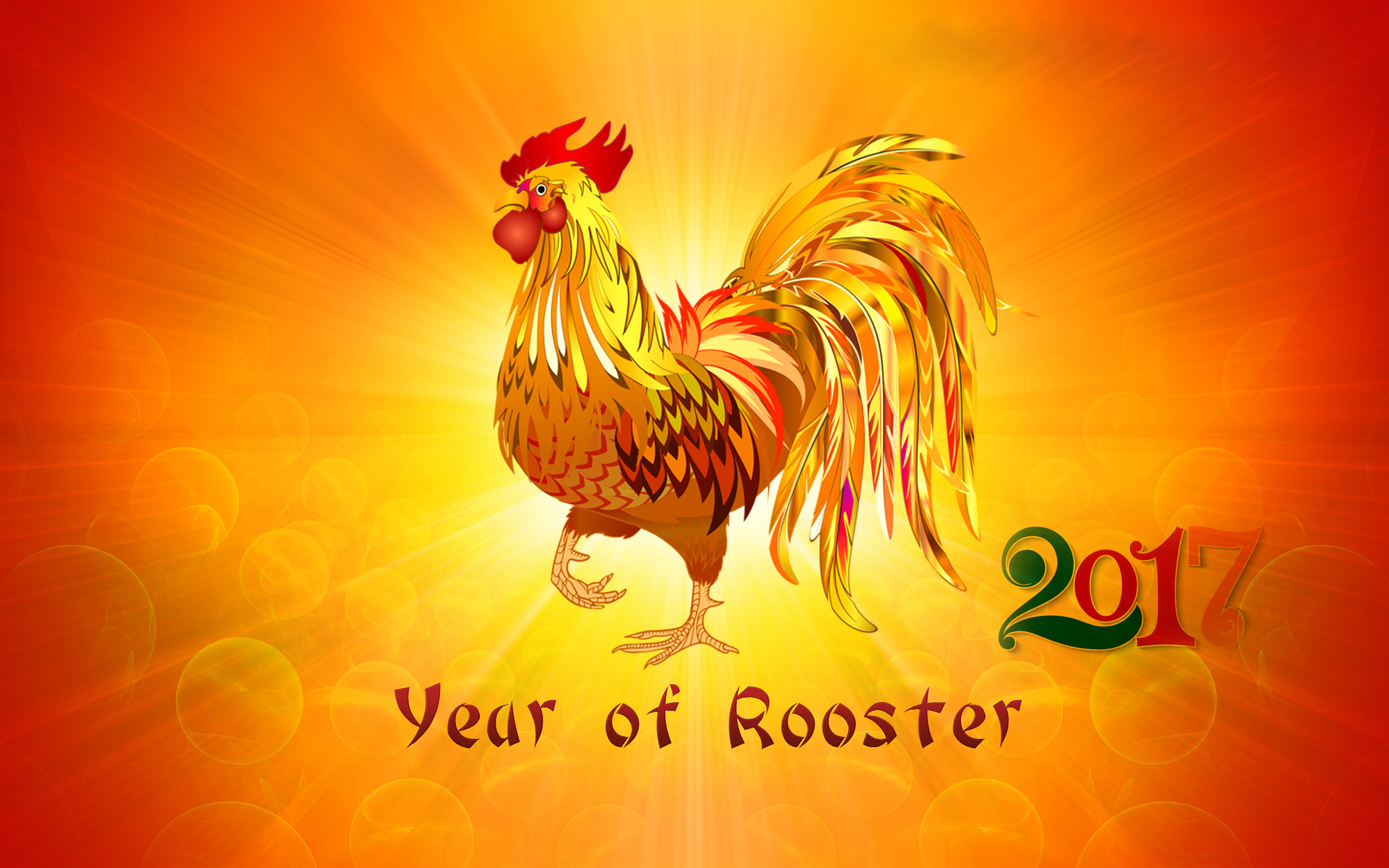 Chinese New Year Rooster Colorful 2560x1600