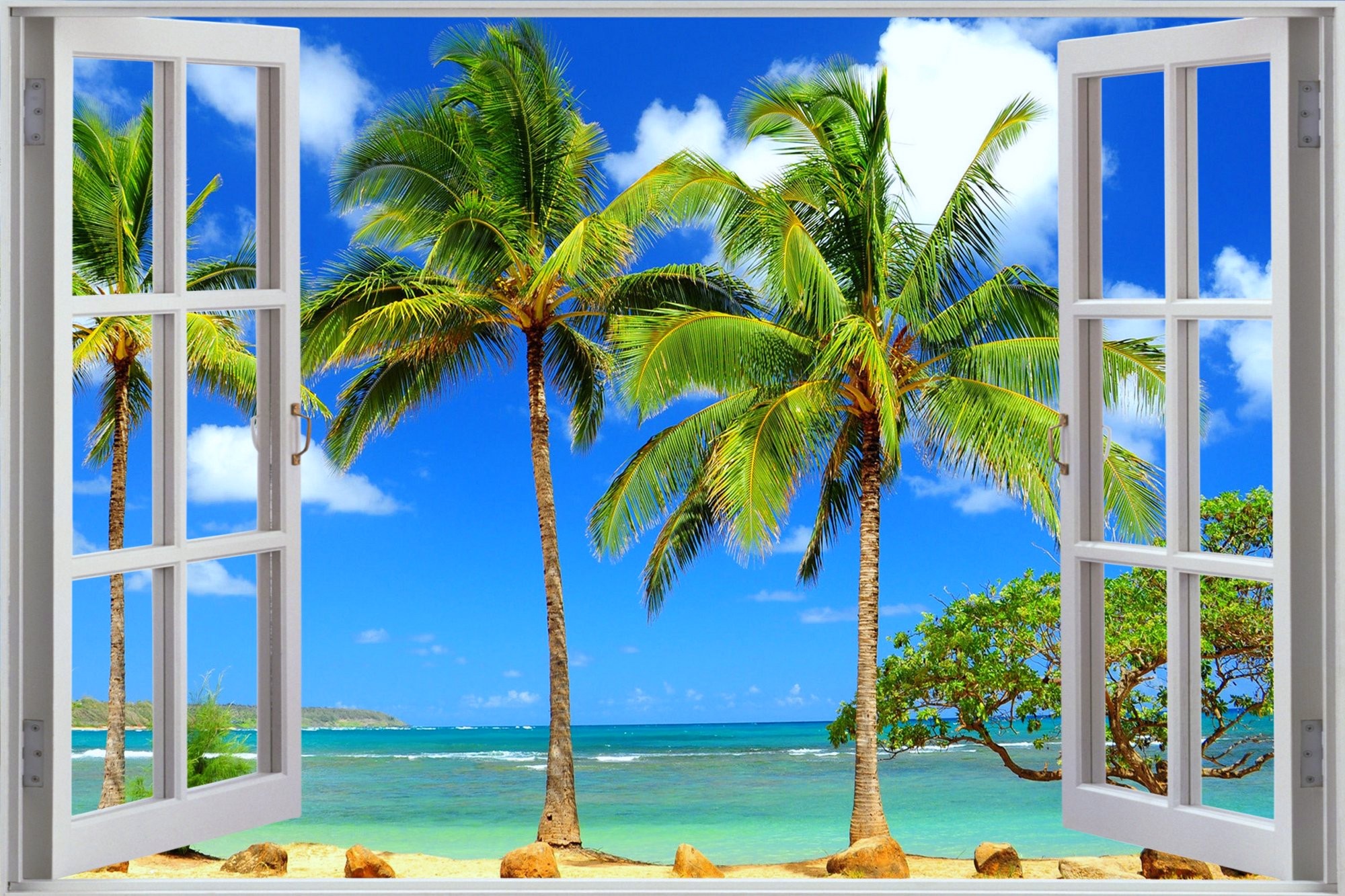 Window Beach Tropical Palm Tree Ocean 2000x1333