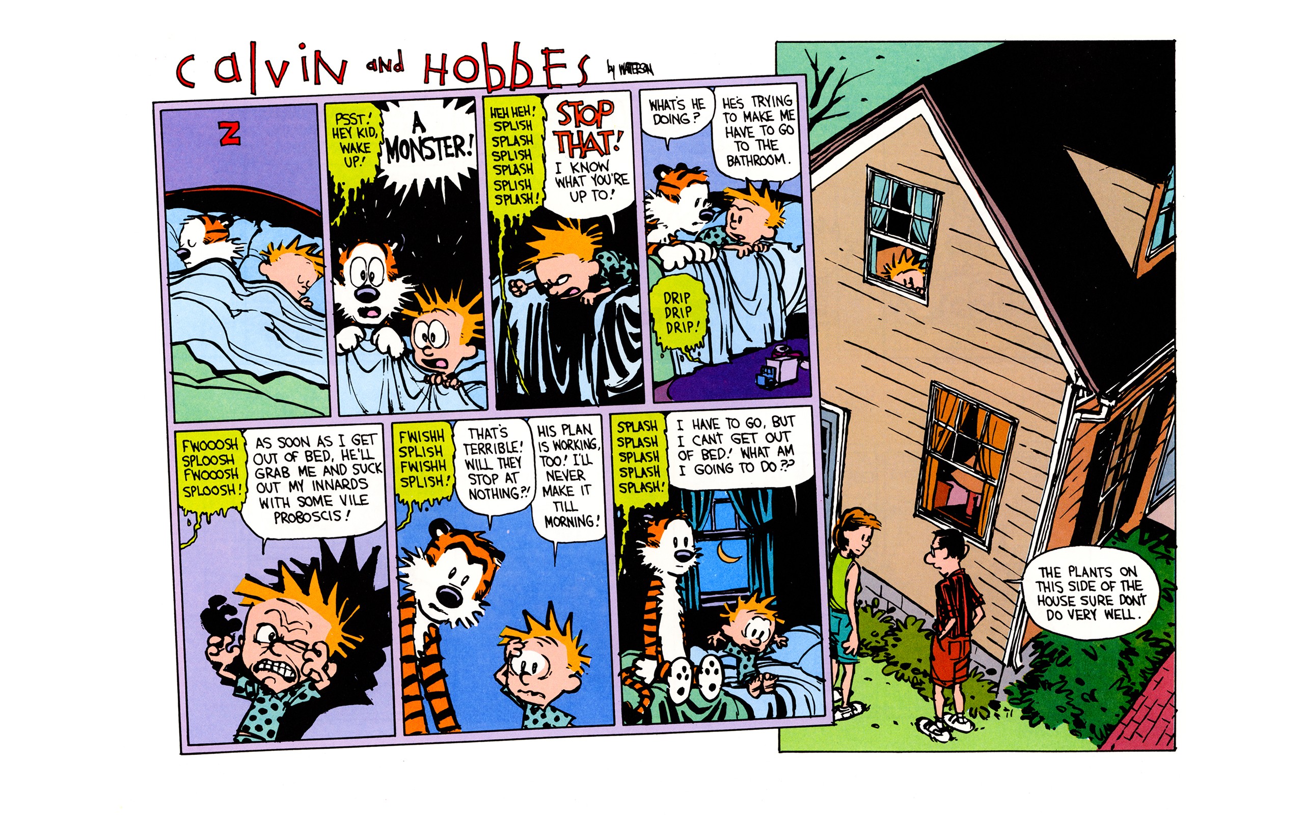 Calvin And Hobbes Comics Cartoon 2560x1600