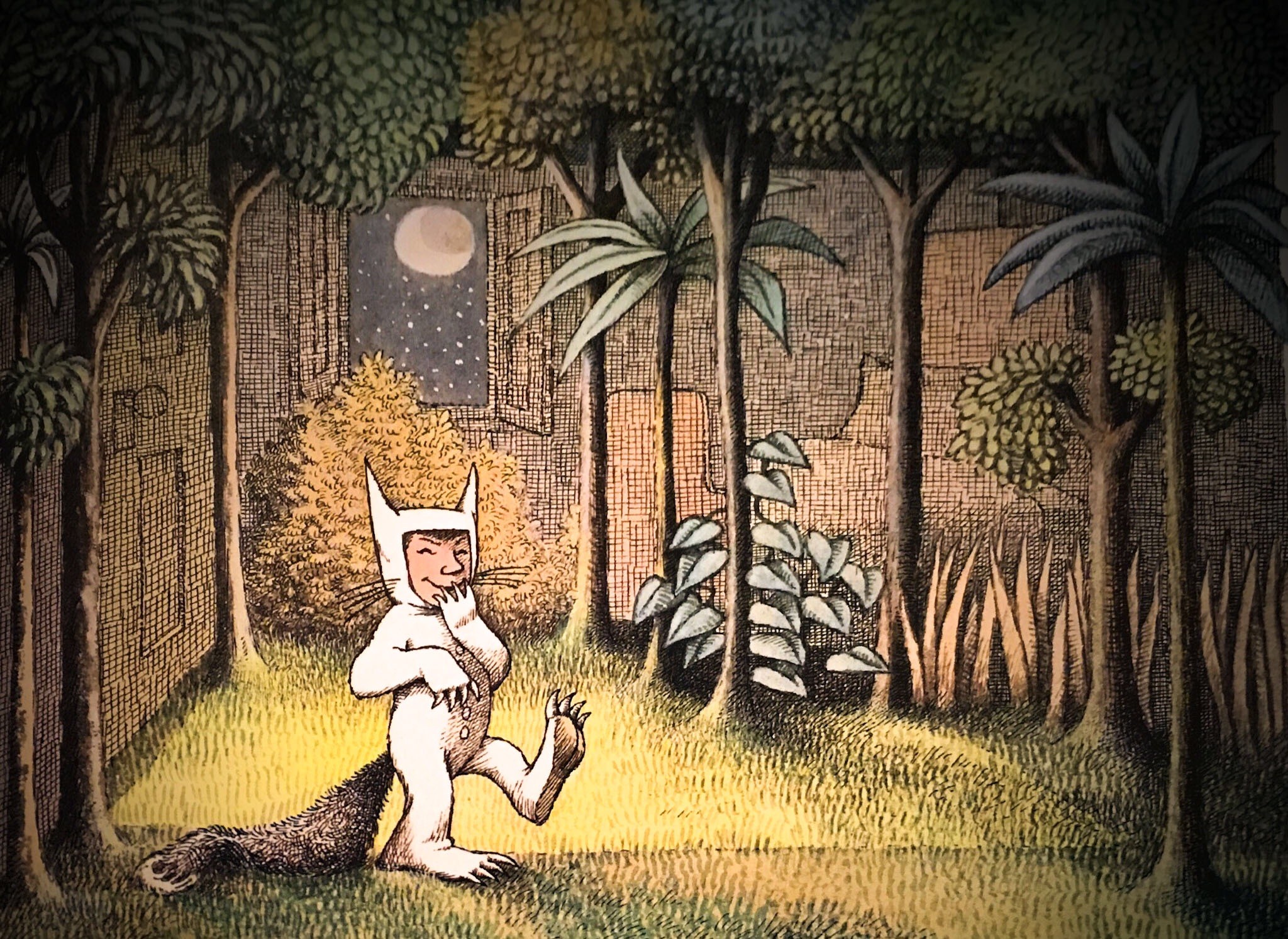 Where The Wild Things Are Forest Books 2048x1494