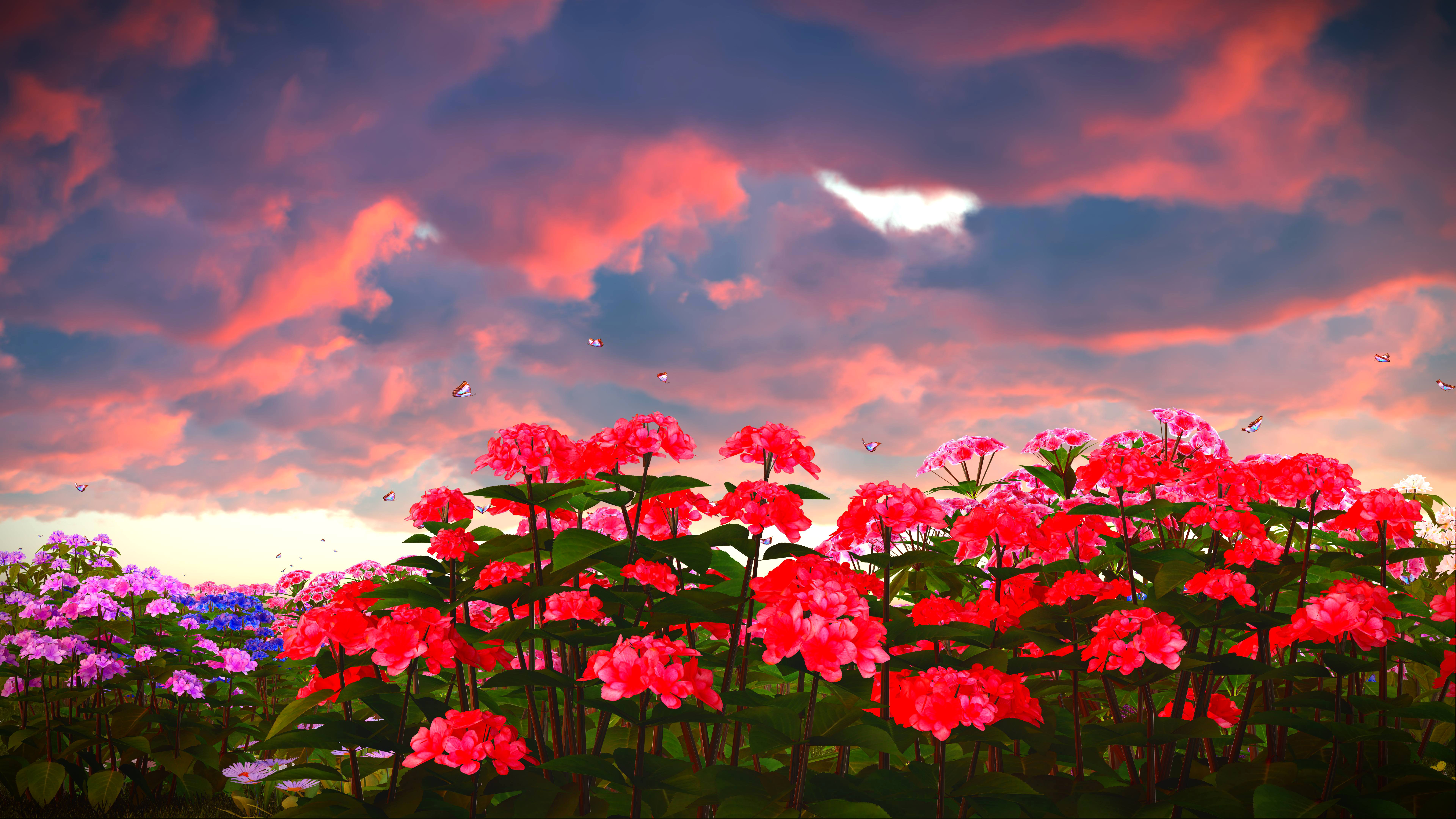Earth Flower Phlox Field Sunset 7680x4320