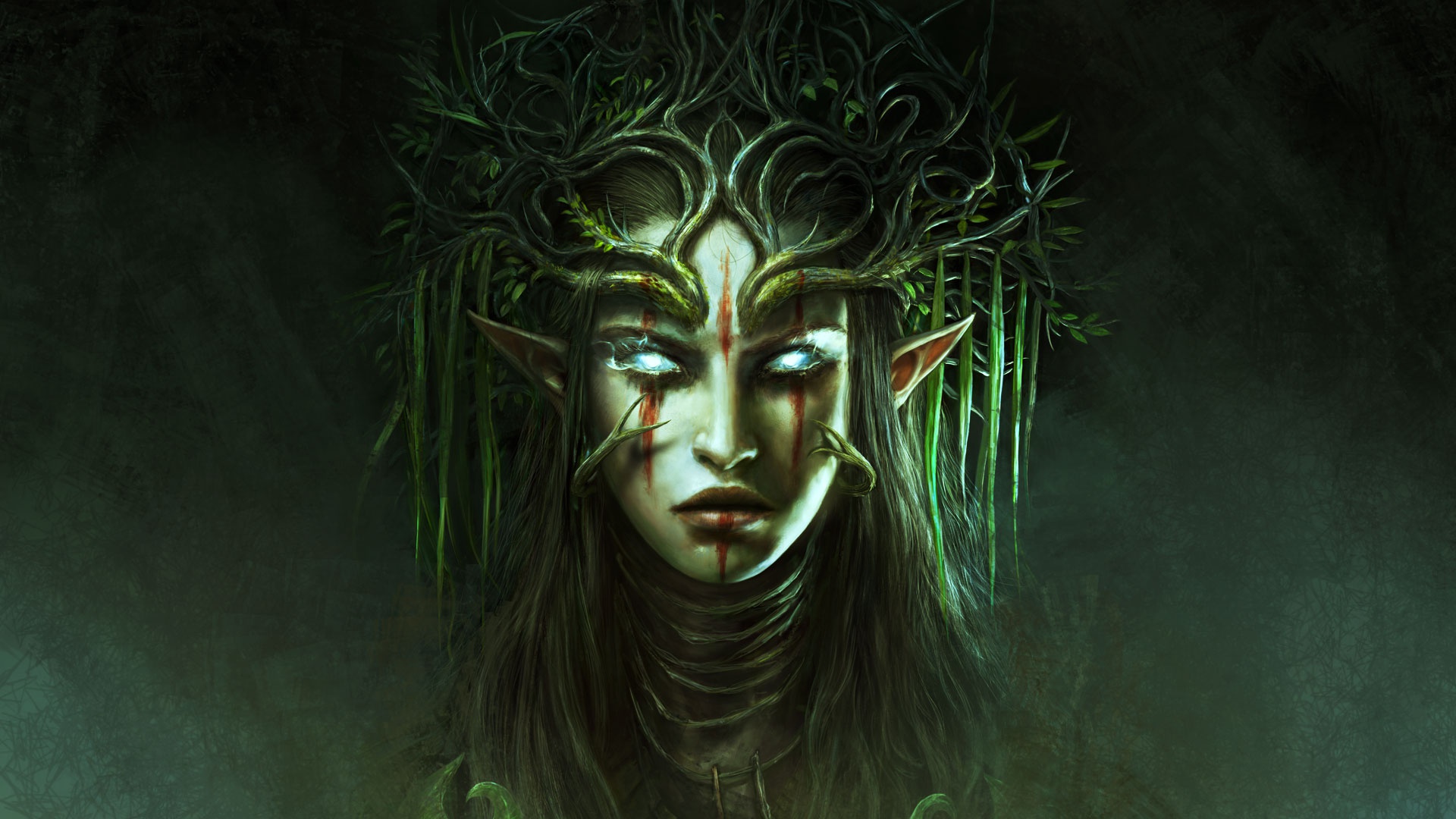 Digital Art Artwork Fantasy Art Video Game Art Divinity Original Sin 2 Elven Pointed Ears Blue Eyes  1920x1080