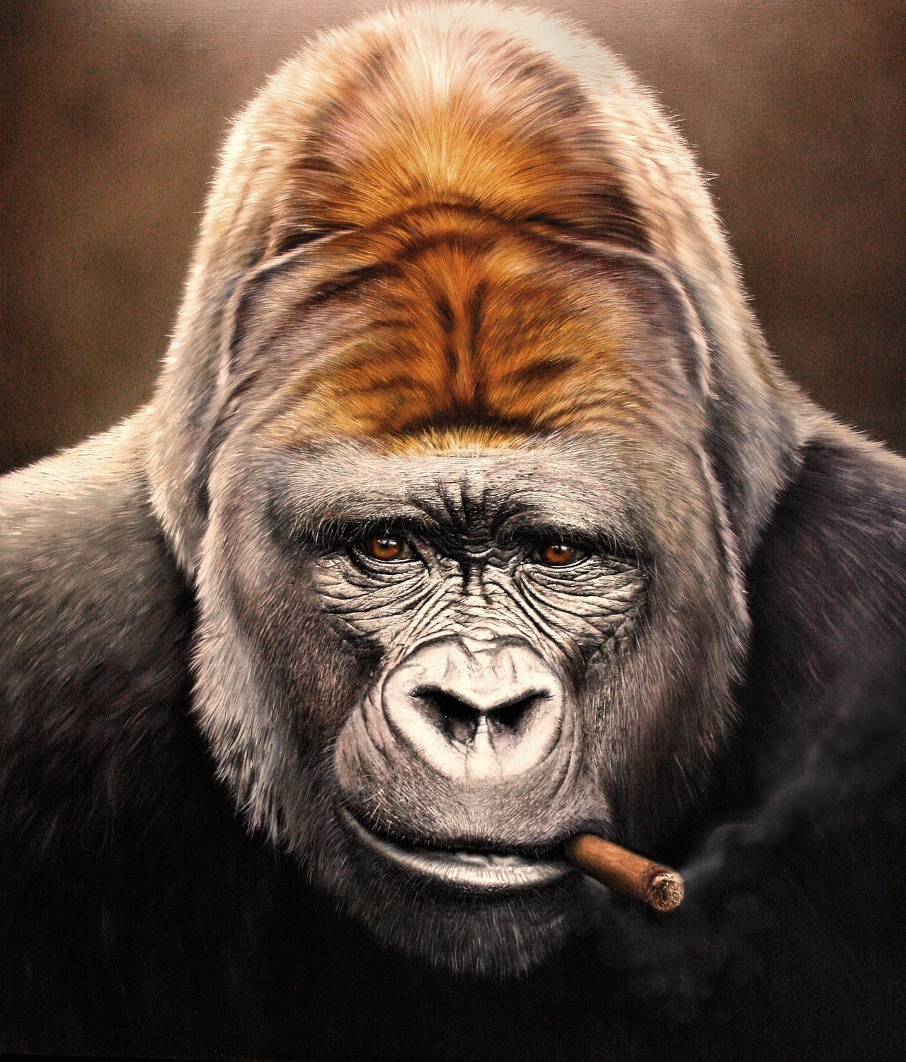 Animals Artwork Digital Art Gorillas Cigars Portrait Display Smoke Christiane Vleugels Photorealisti 1280x1500