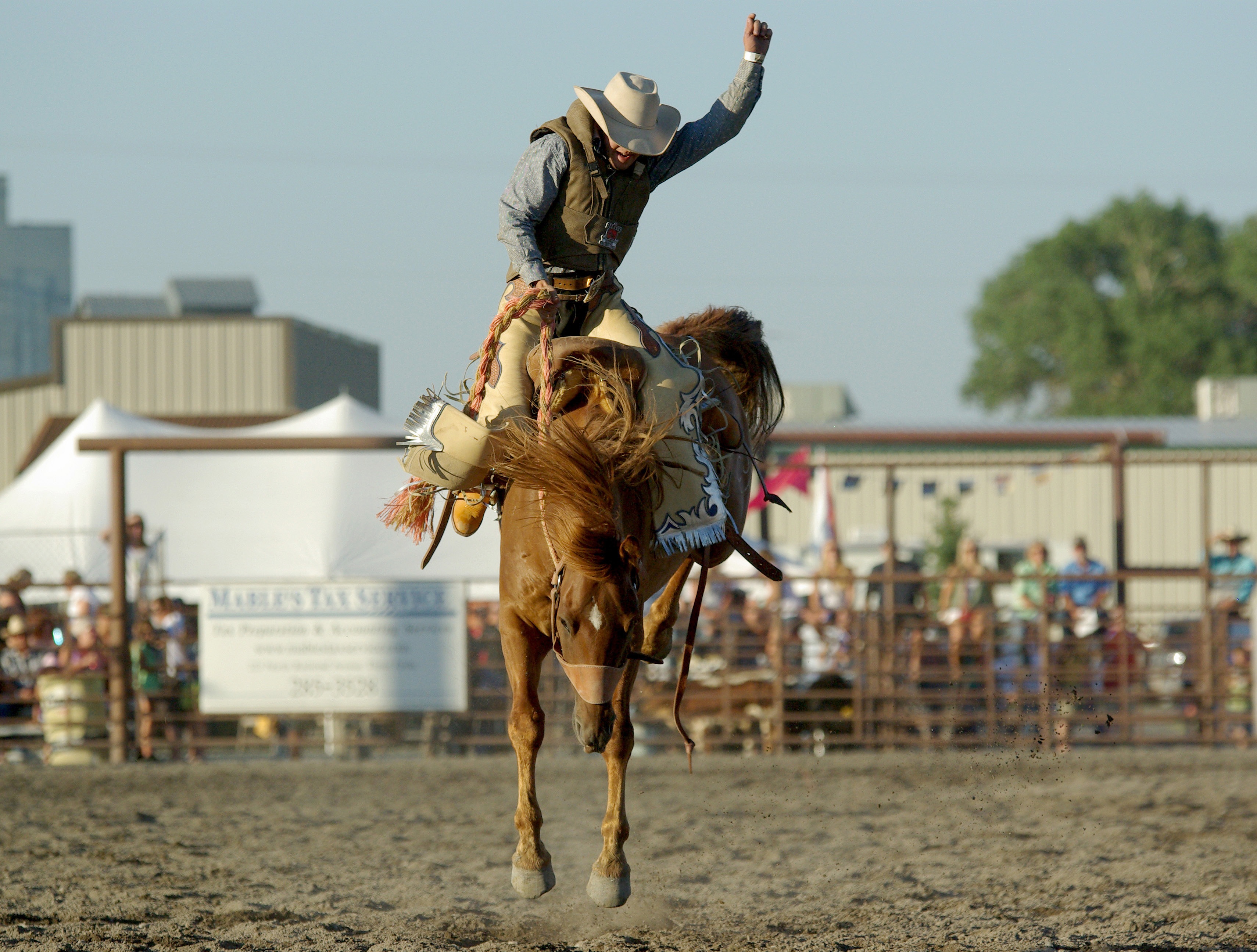 Rodeo Horse Sport Cowboy 3420x2592