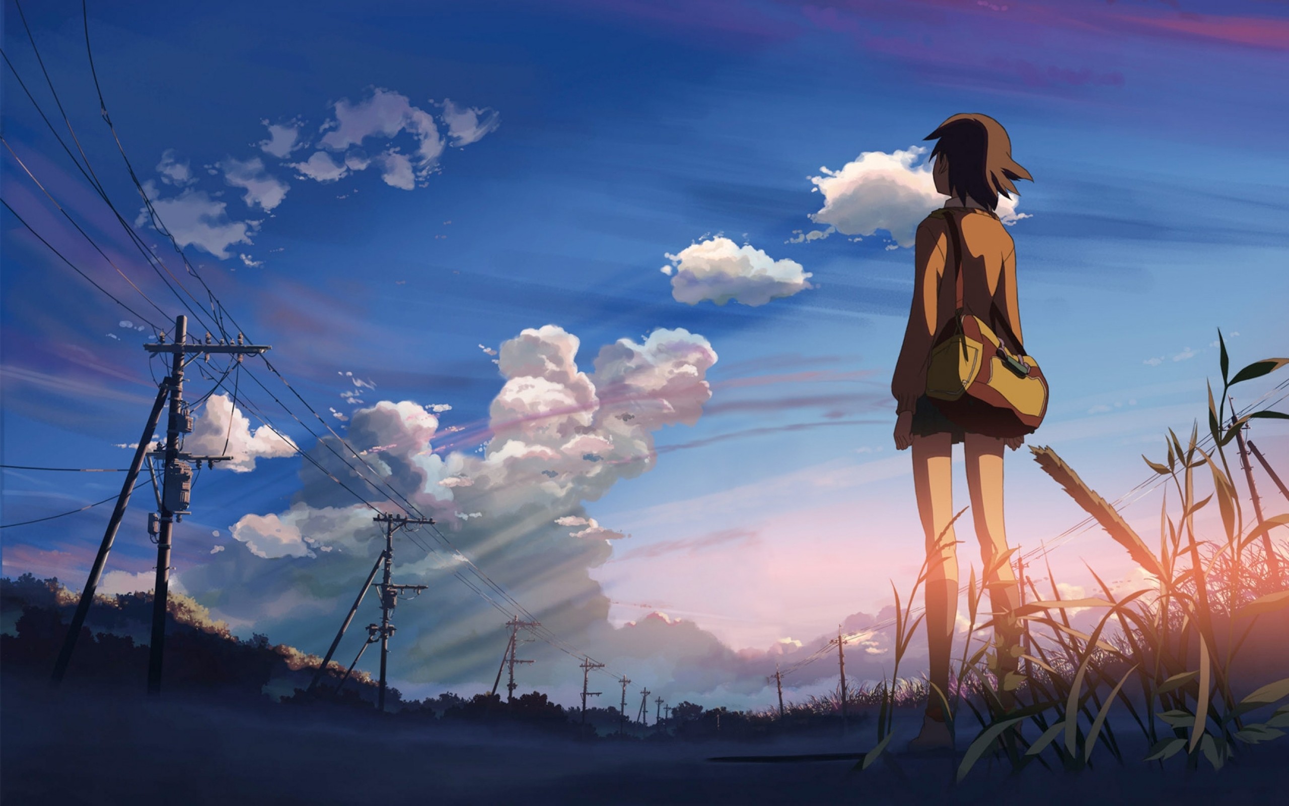 5 Centimeters Per Second Makoto Shinkai Anime Girls Anime Power Lines 2560x1600