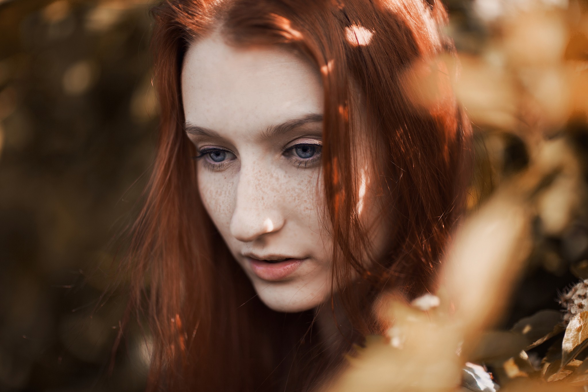 Women Ruby James Redhead Freckles Blue Eyes Looking Away Leaves Face 2048x1365