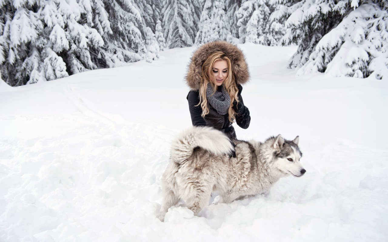 Blonde Women Outdoors Dog Hoods Women Outdoors Black Coat Long Hair Winter Snow Nature Curly Hair Wo 1280x800