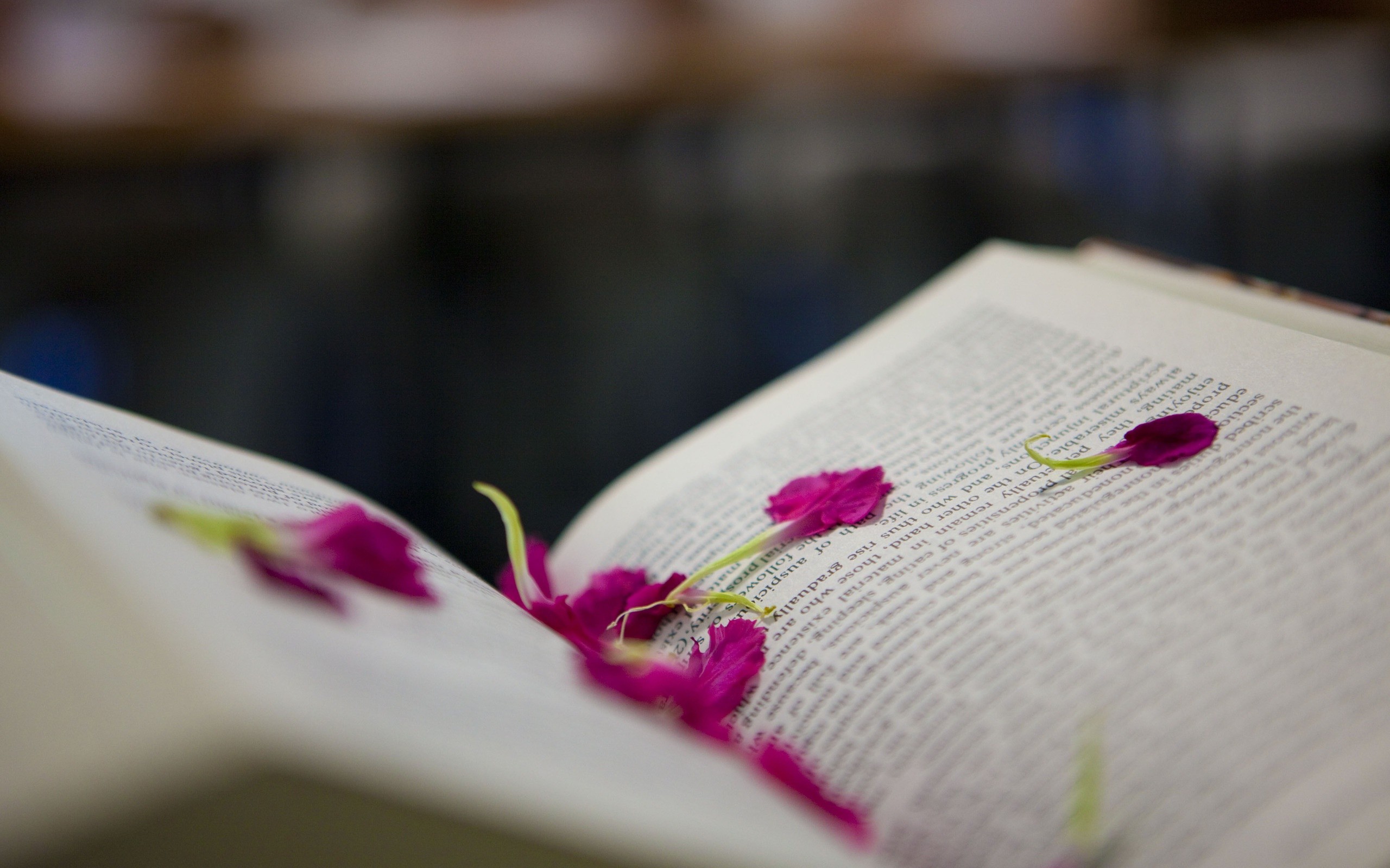 Books Petals Depth Of Field Pages 2560x1600