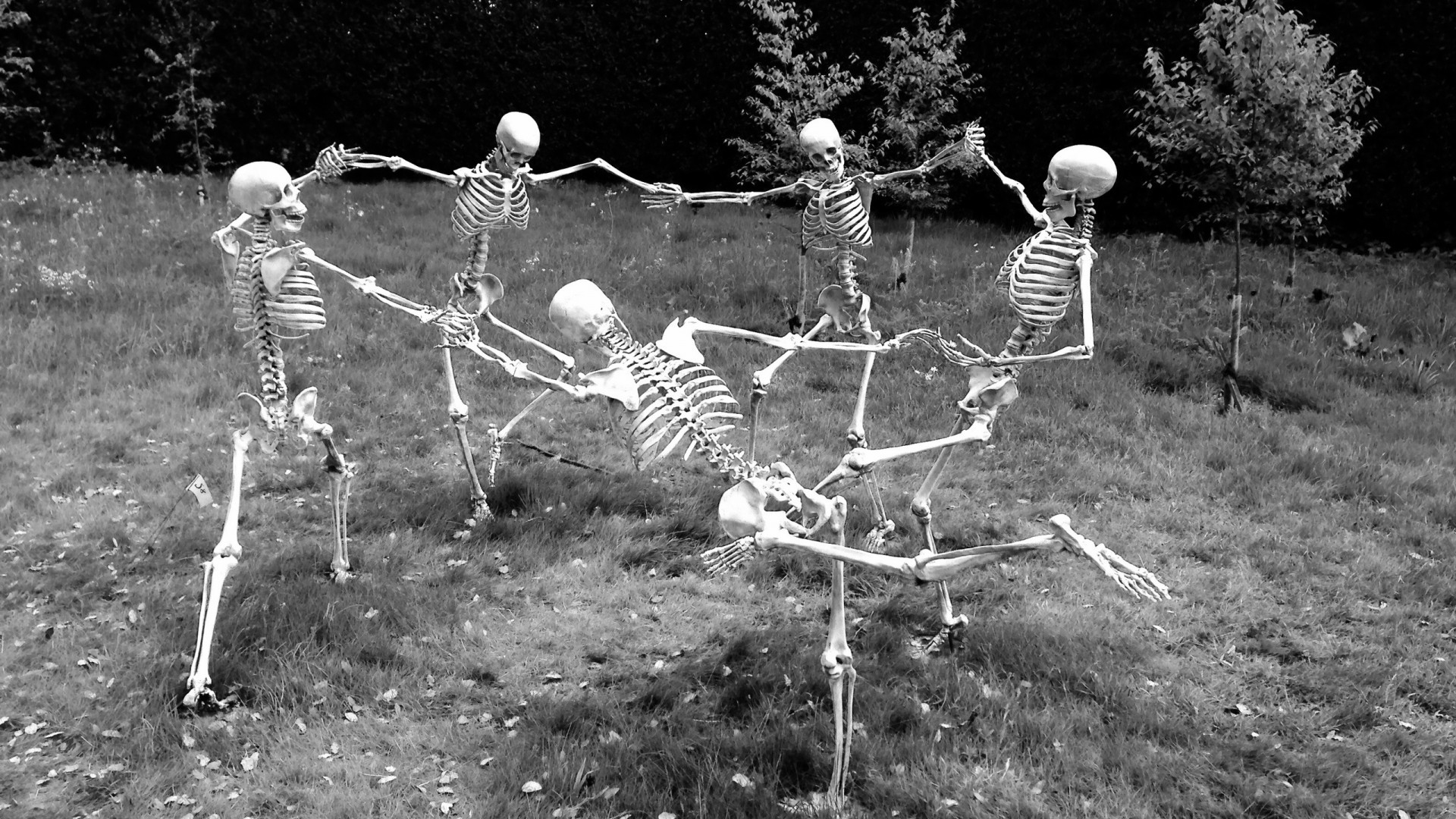 Skeleton Dancing Gray Monochrome Humor Dark Humor Skull Bones 1920x1080