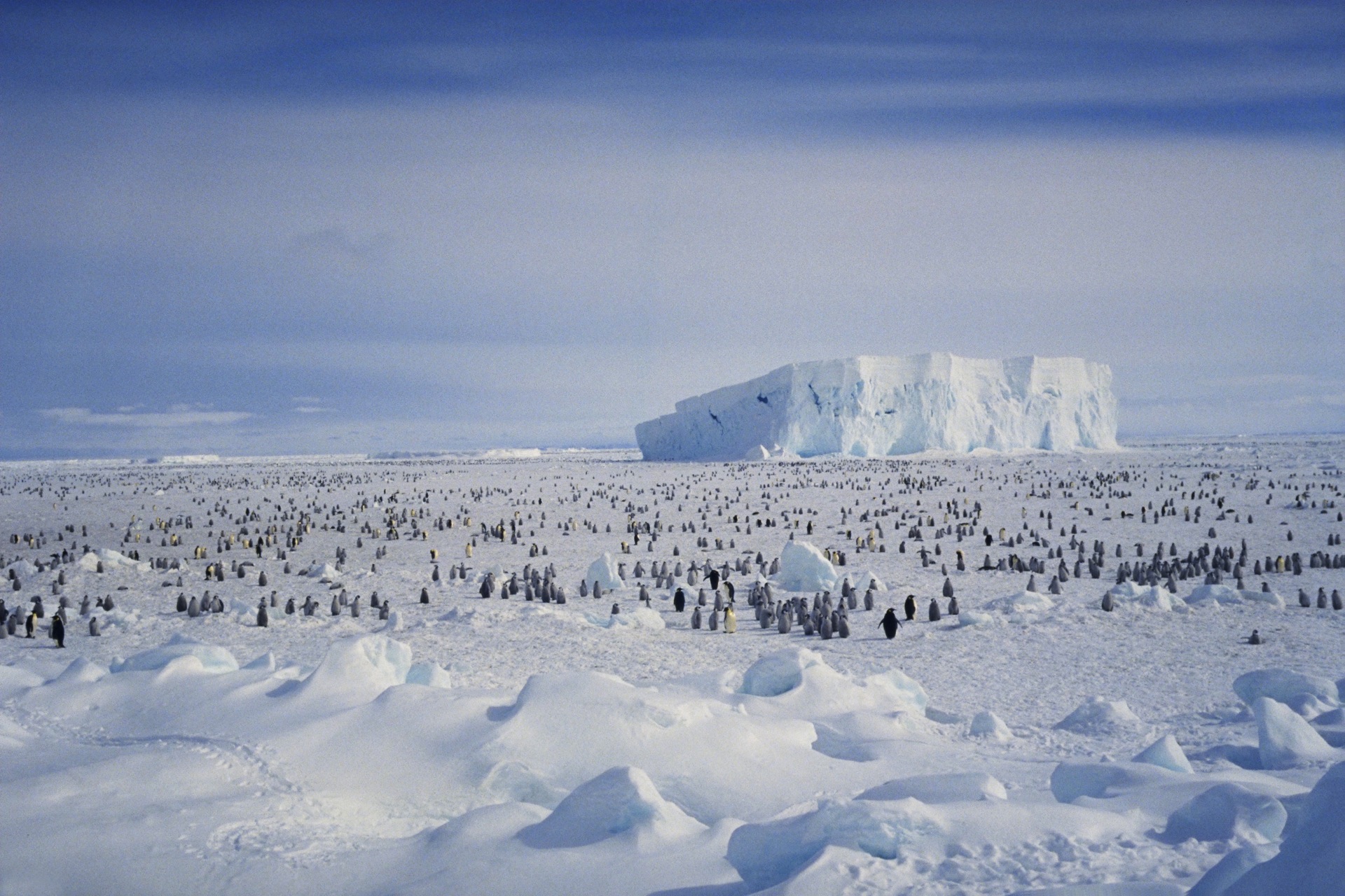 Antarctica Snow Iceberg 1920x1280