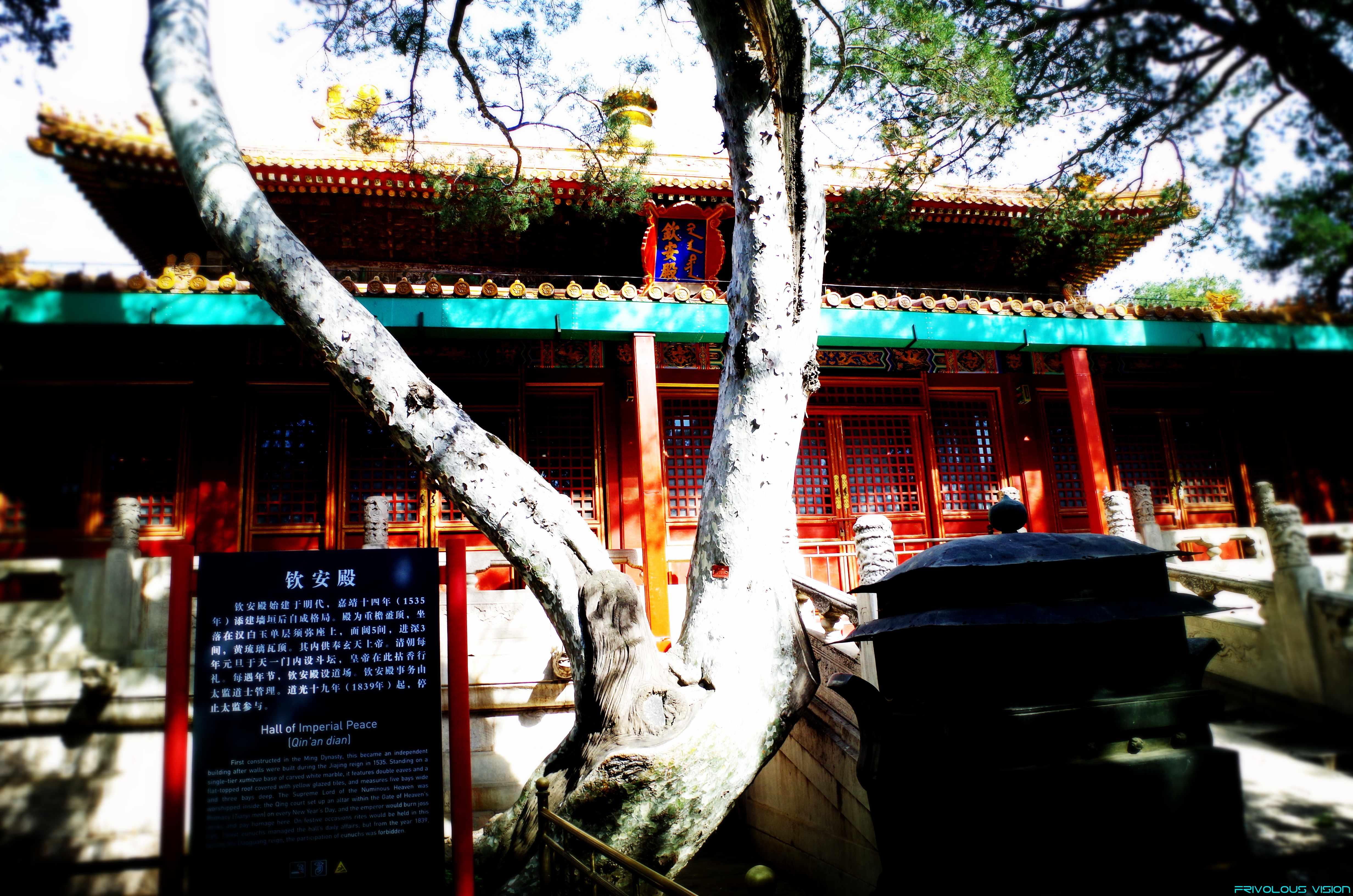Chinas Wind Asia Trees House 4928x3264