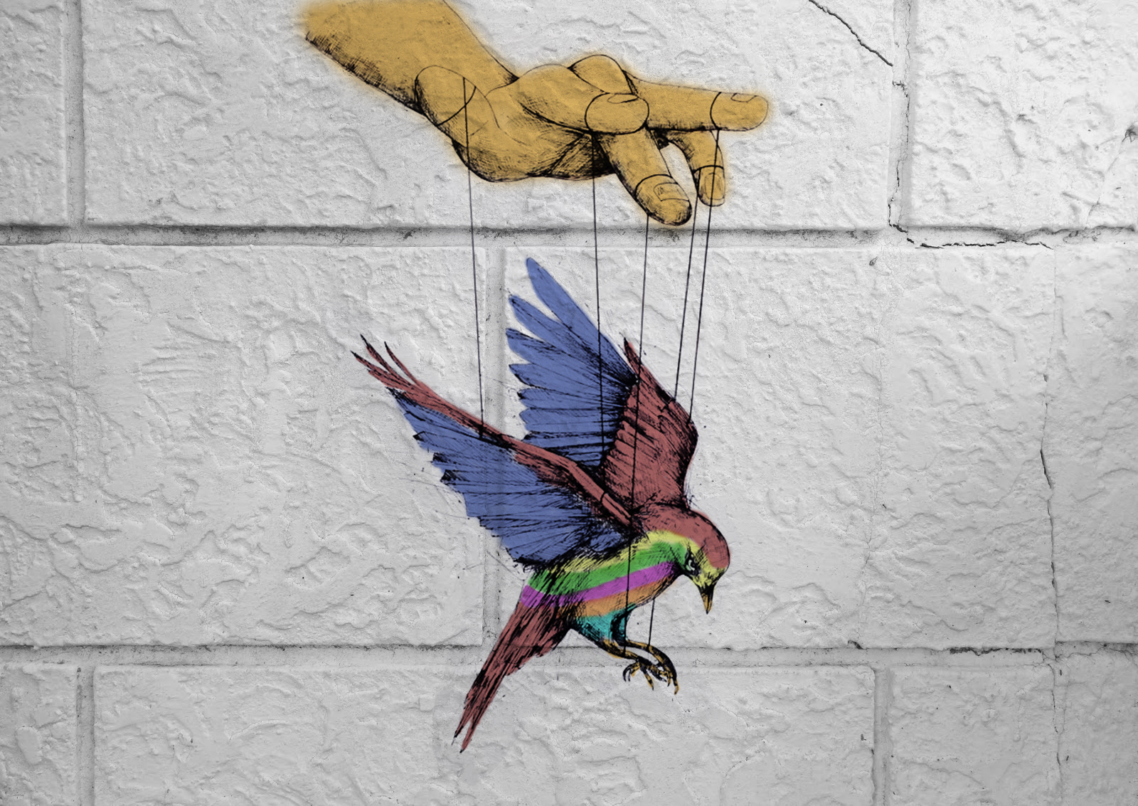 Birds Colorful Puppets Freedom 1600x1133