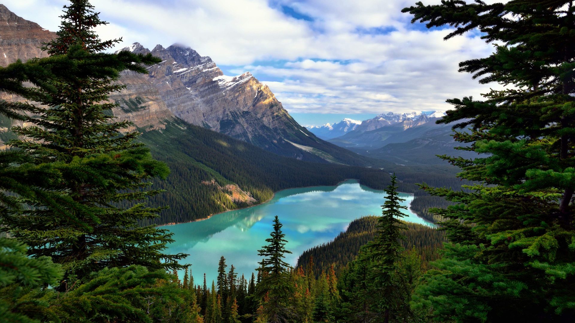 Earth Lake Peyto Lake Canada Tree Mountain Forest Turquoise 1920x1080