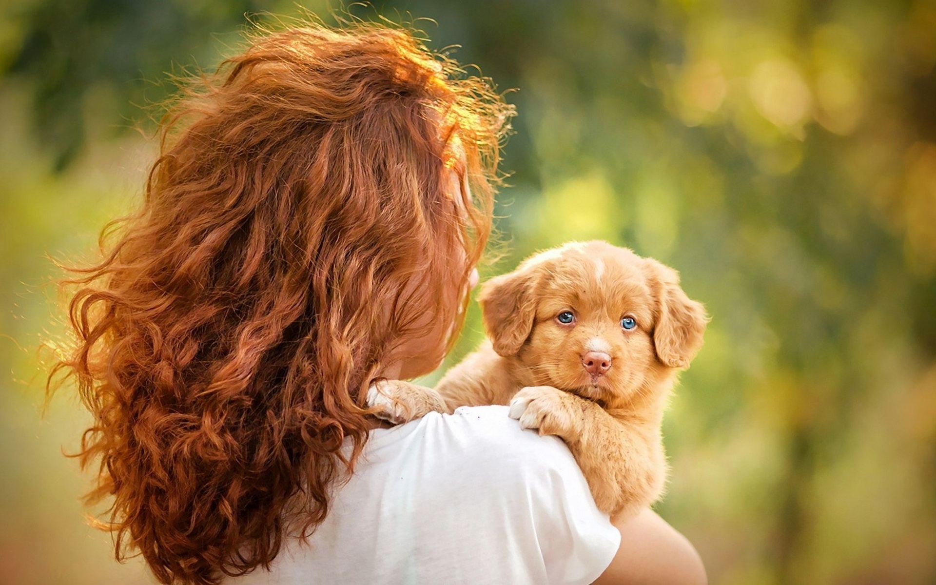 Women Outdoors Redhead Dog Puppies Bokeh Women With Dogs Rear View 1920x1200