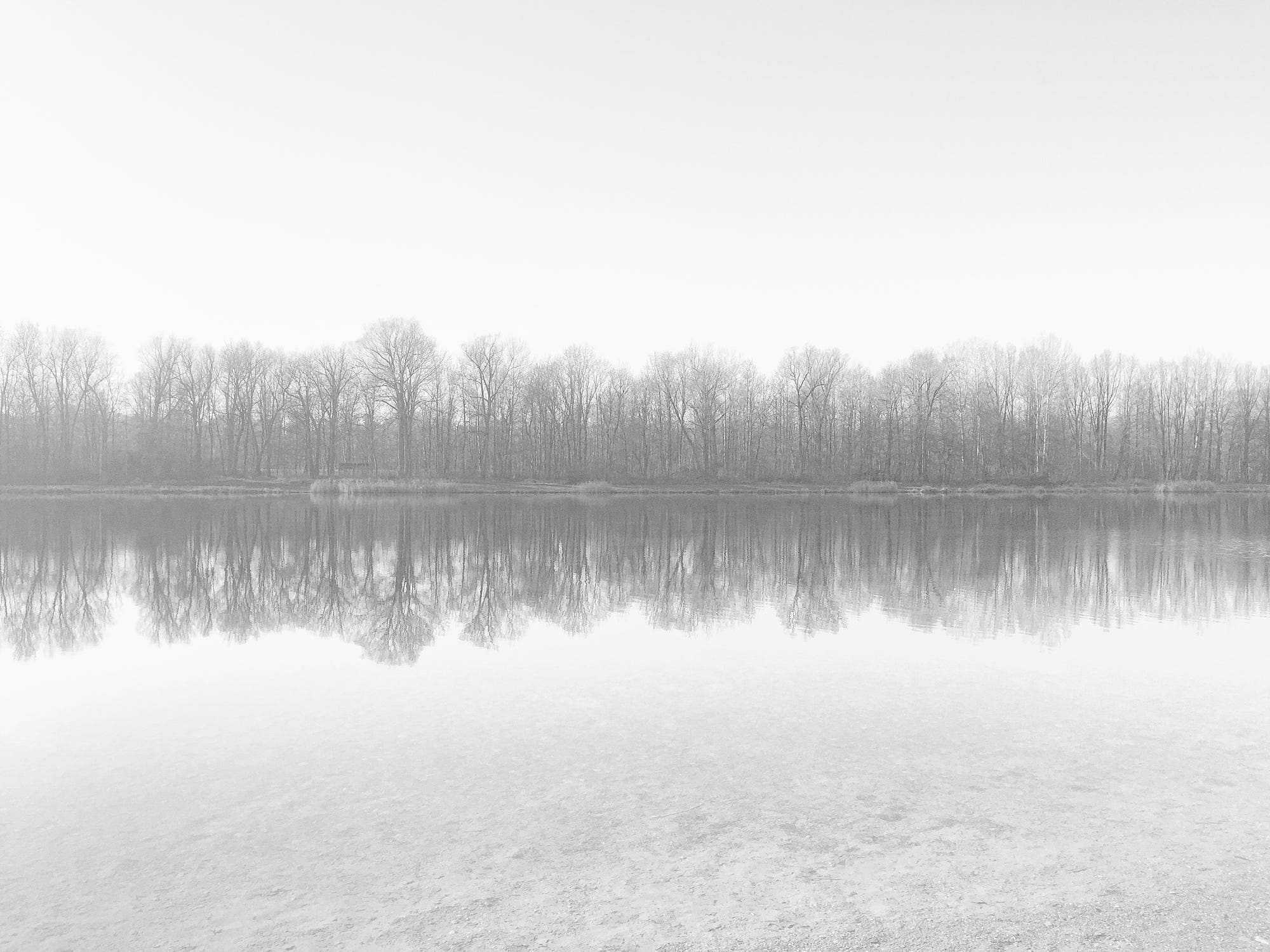 Photography Cold Sky Landscape Relfection Mist Forest Lake 2000x1500