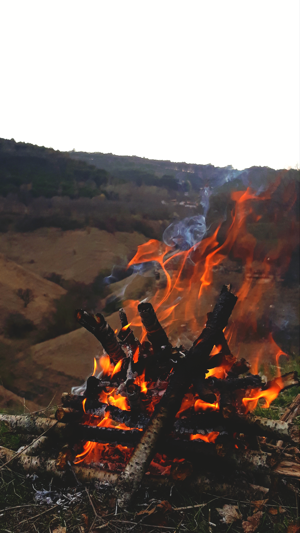 Bonfires Fire Nature Kislovodsk Vertical 1215x2160