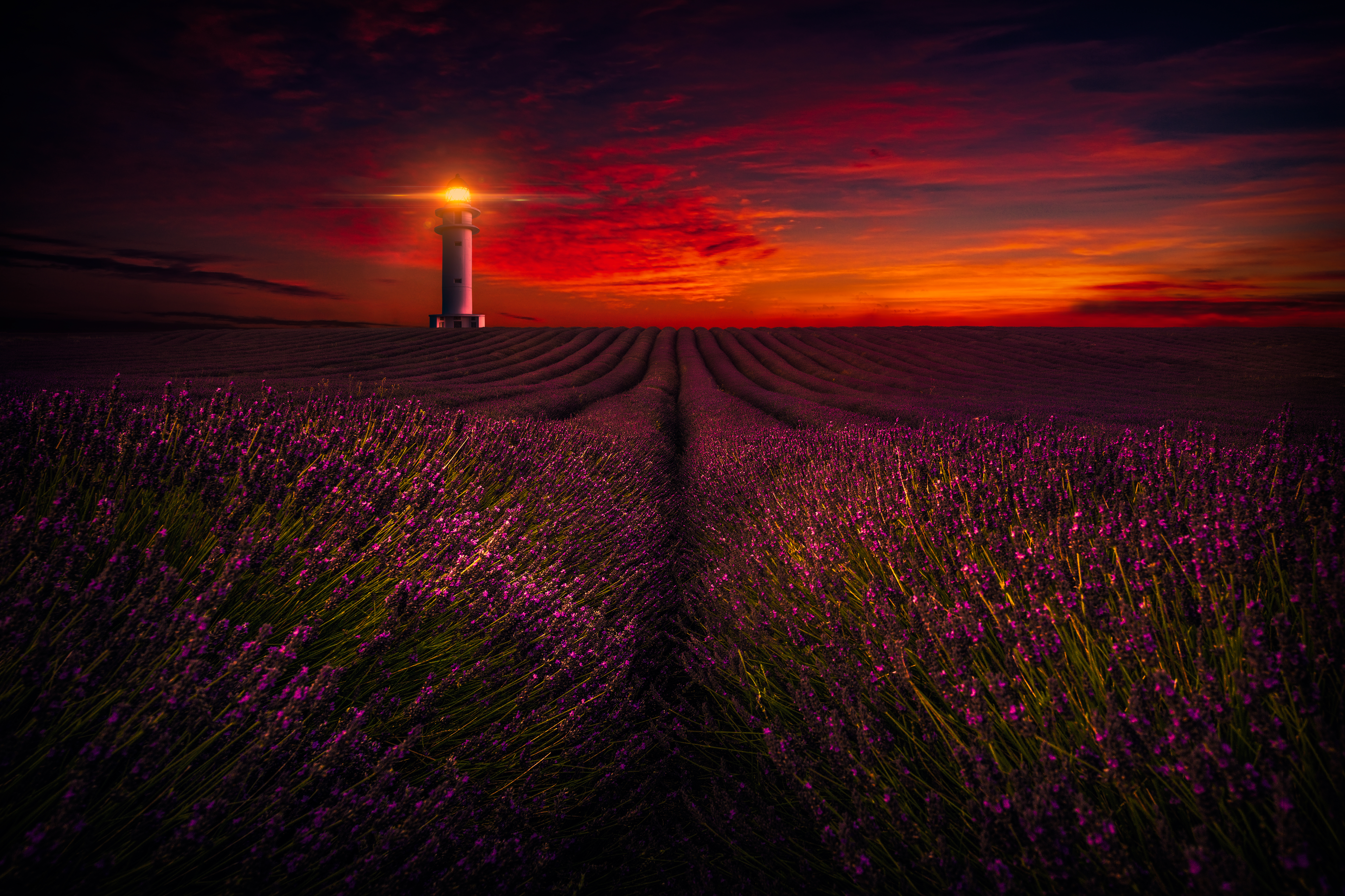 Artistic Sky Cloud Lavender Field Lighthouse Purple Flower 5759x3838