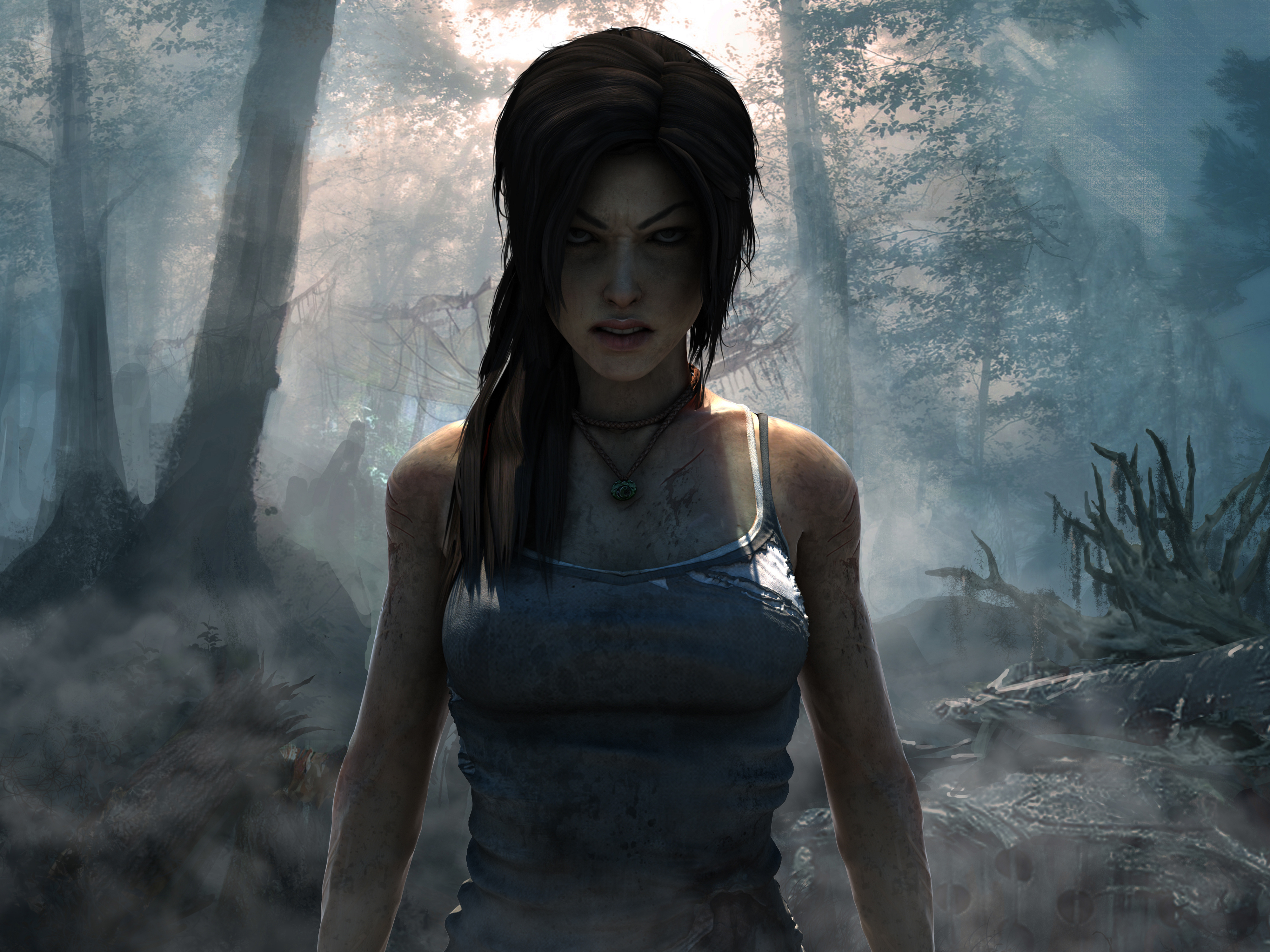 Video Game Tomb Raider 2013 4000x3000