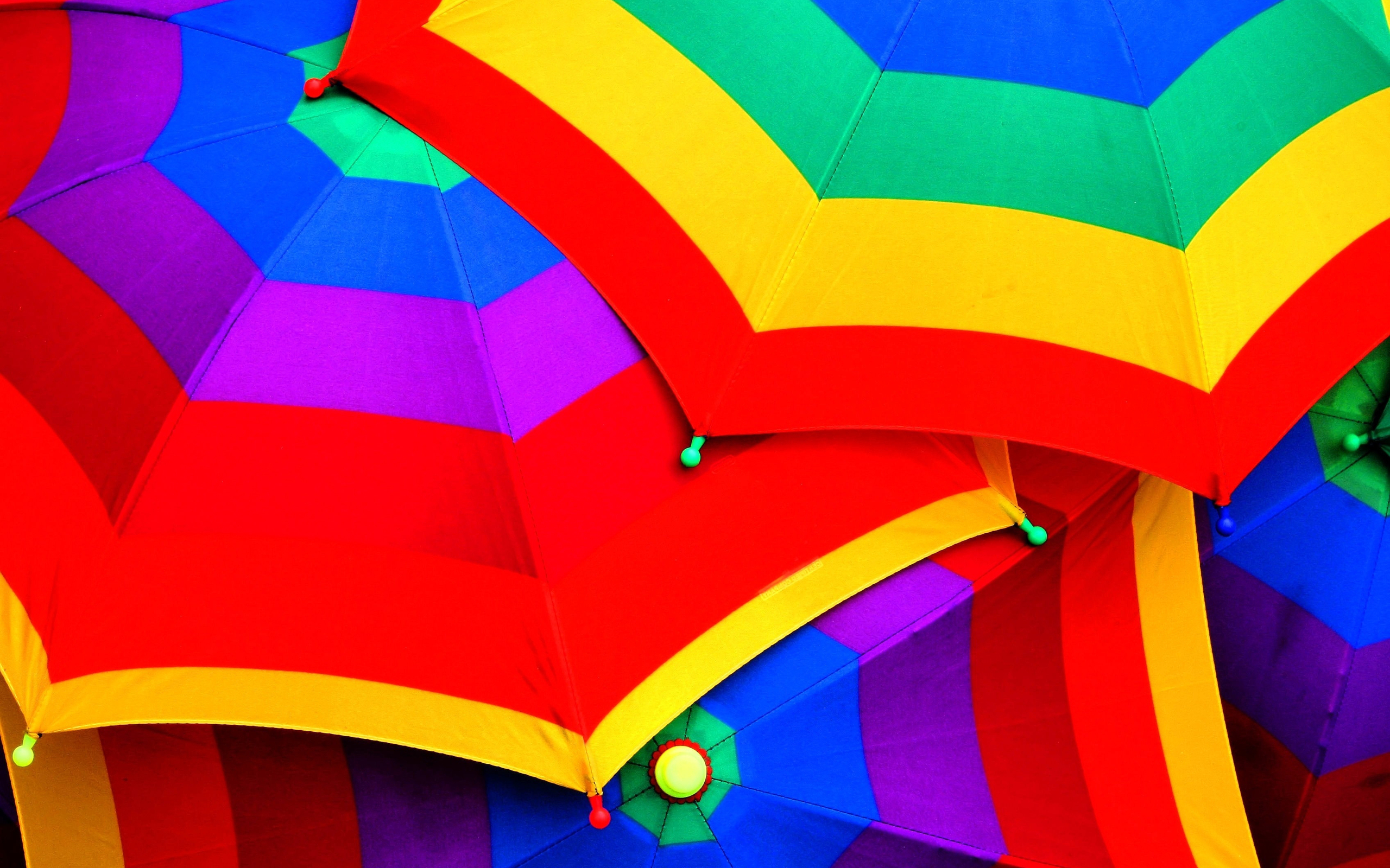 Umbrella Colors Bright 2560x1600