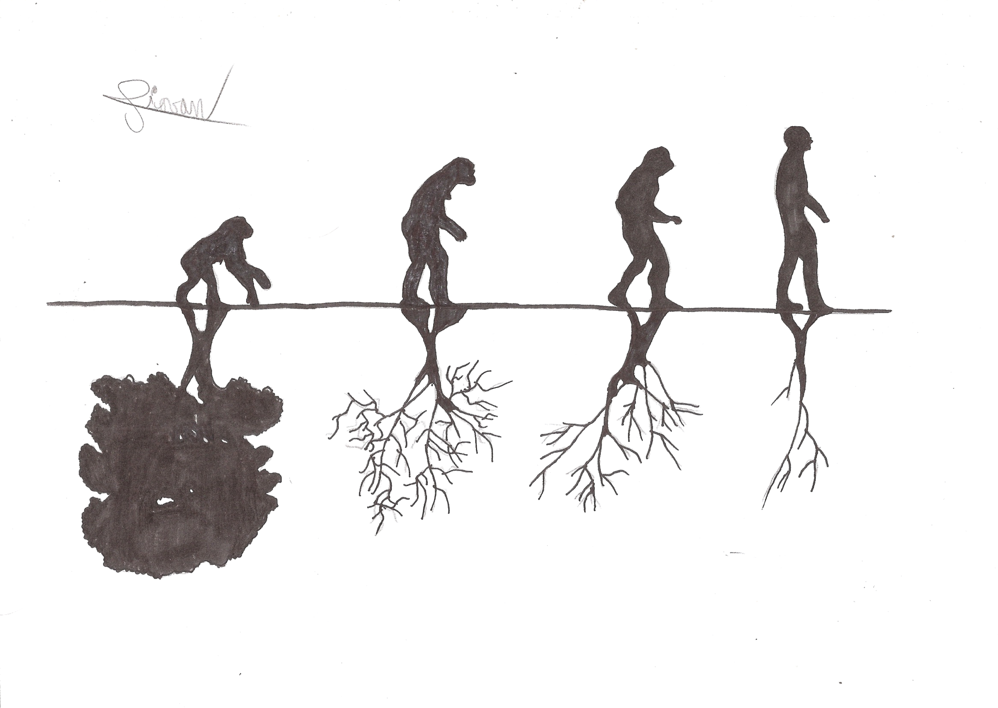 Drawing Evolution Simple Background Artwork 2048x1453