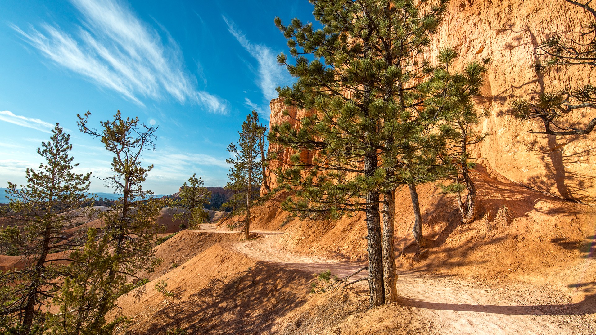 Bryce Canyon National Park Nature Landscape Desert Trees 1920x1080