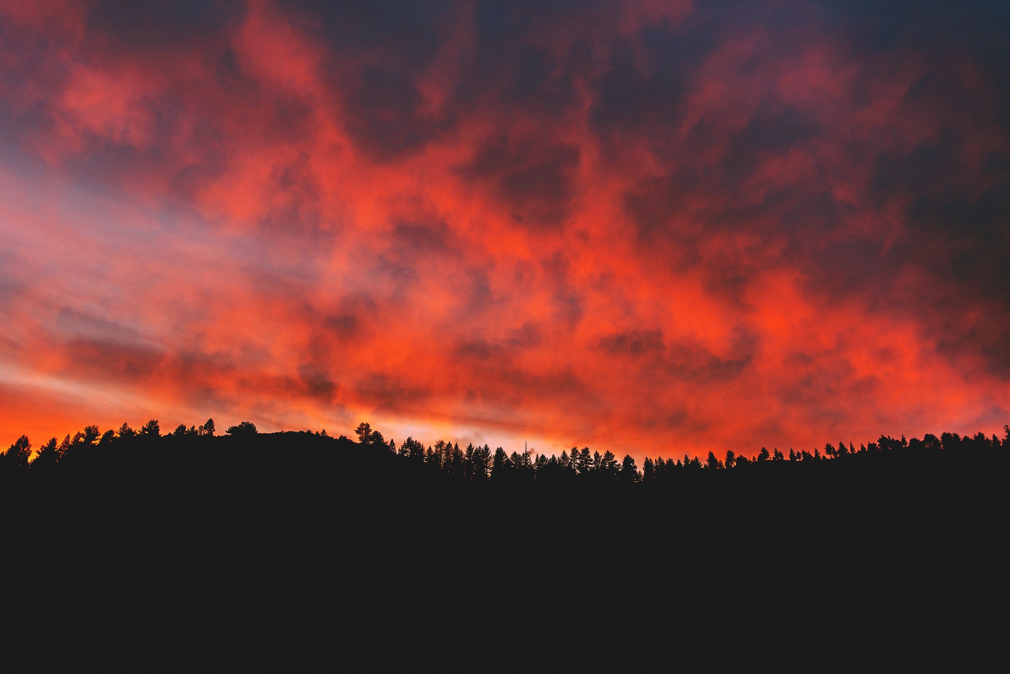 Nature North Clouds Sky Trees Sunset Forest 2048x1367