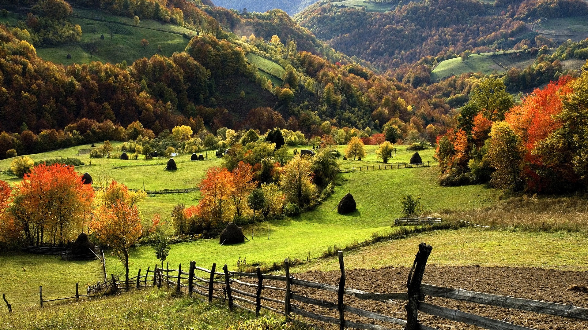 Nature Landscape Trees Forest Mountains Hills Field Grass Fall Fence Hay Haystacks Sumadija 1920x1080