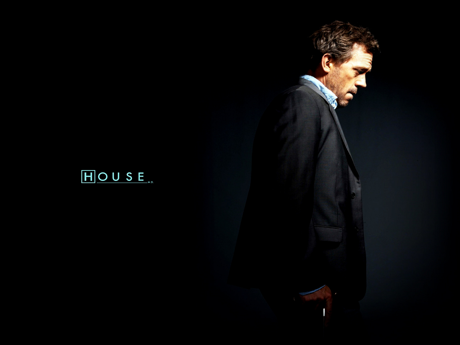 Hugh Laurie Gregory House 1600x1200