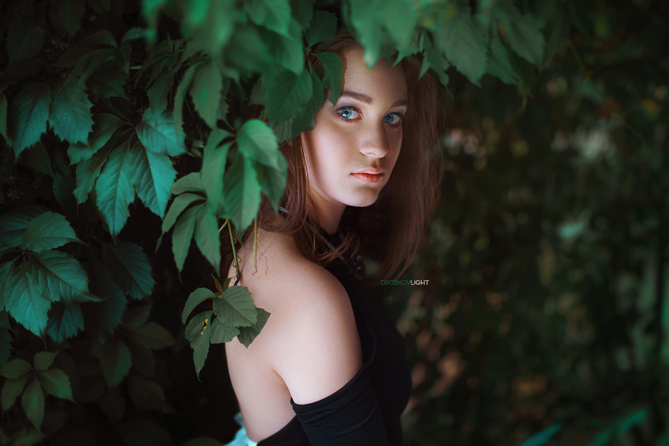 Women Model Alexander Drobkov Portrait Leaves Brunette Blue Eyes Women Outdoors 2560x1707