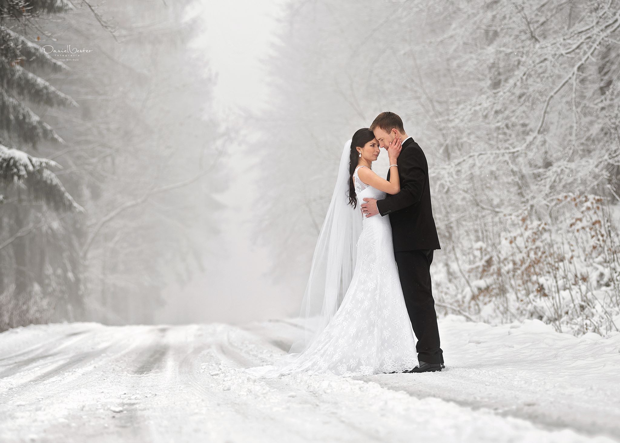 Weddings Wedding Dress Suits Marriage Winter Snow Road 2048x1463