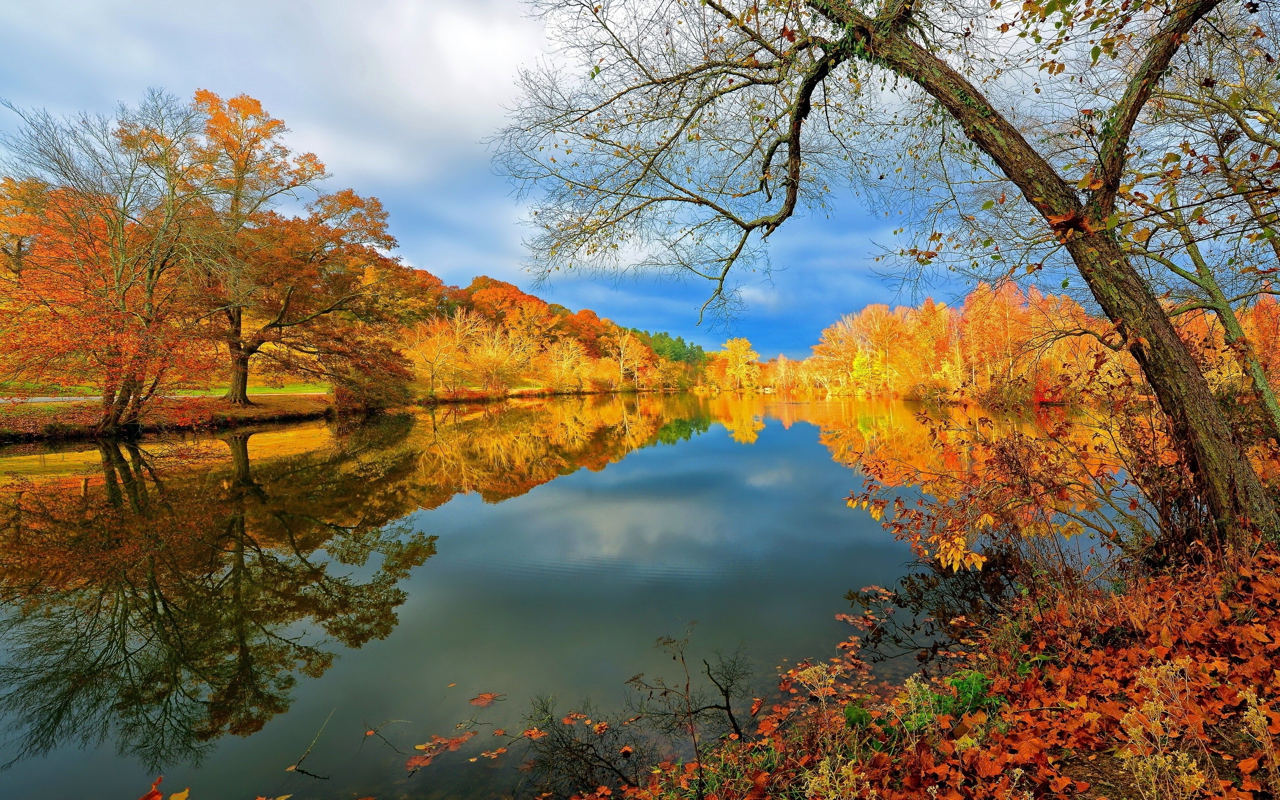 Lake Forest Fall Red Leaves 2560x1600