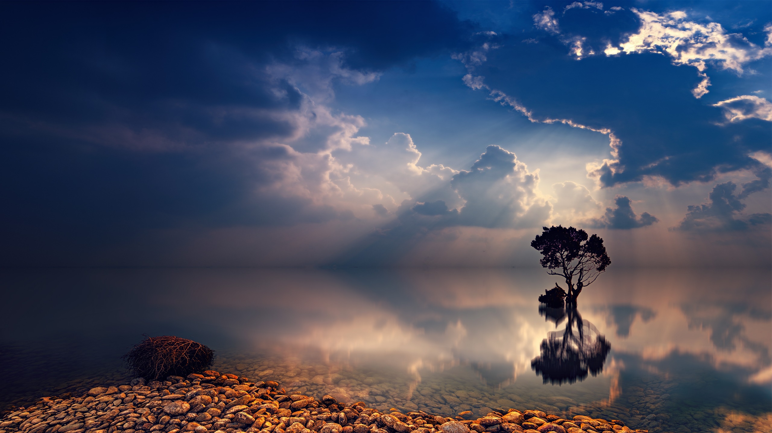 Sky Clouds Water Nature Sea Horizon Calm Waters Sun Rays Blue Reflection Trees 2560x1435