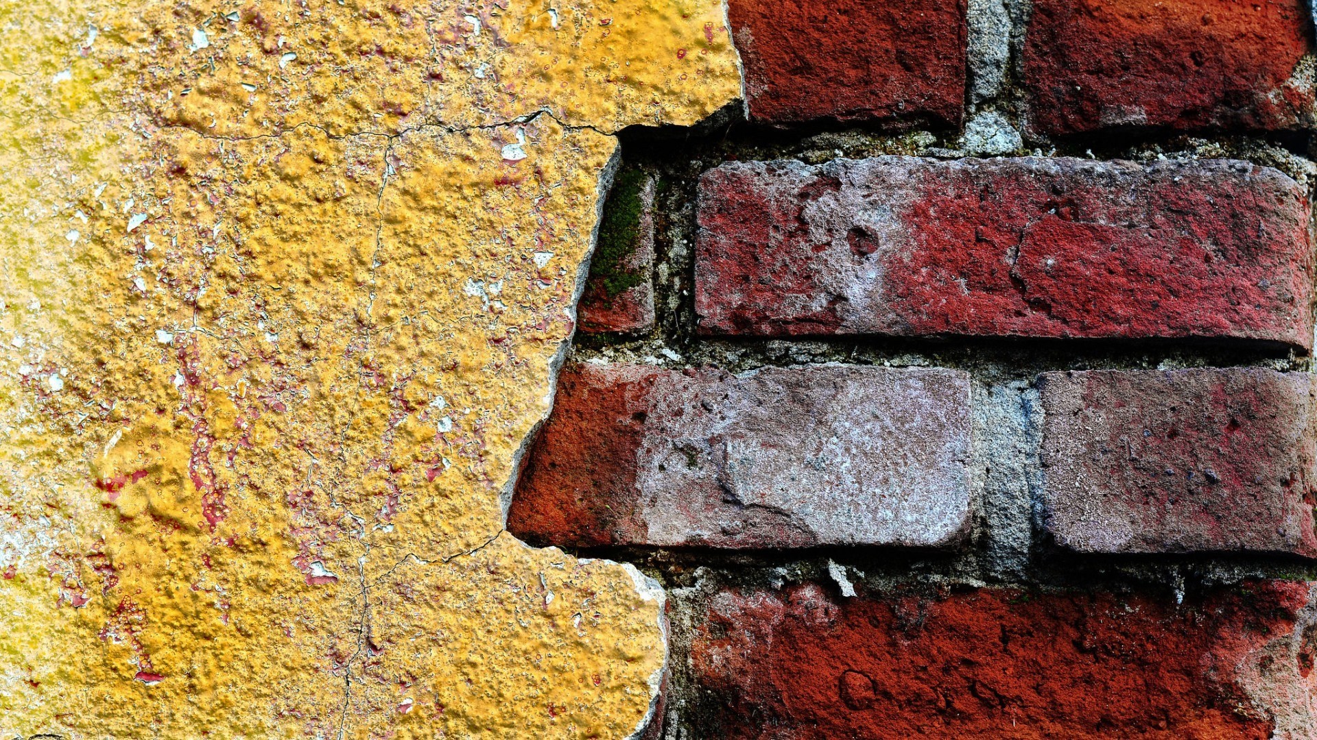 Wall Texture Bricks Concrete Moss 1920x1080