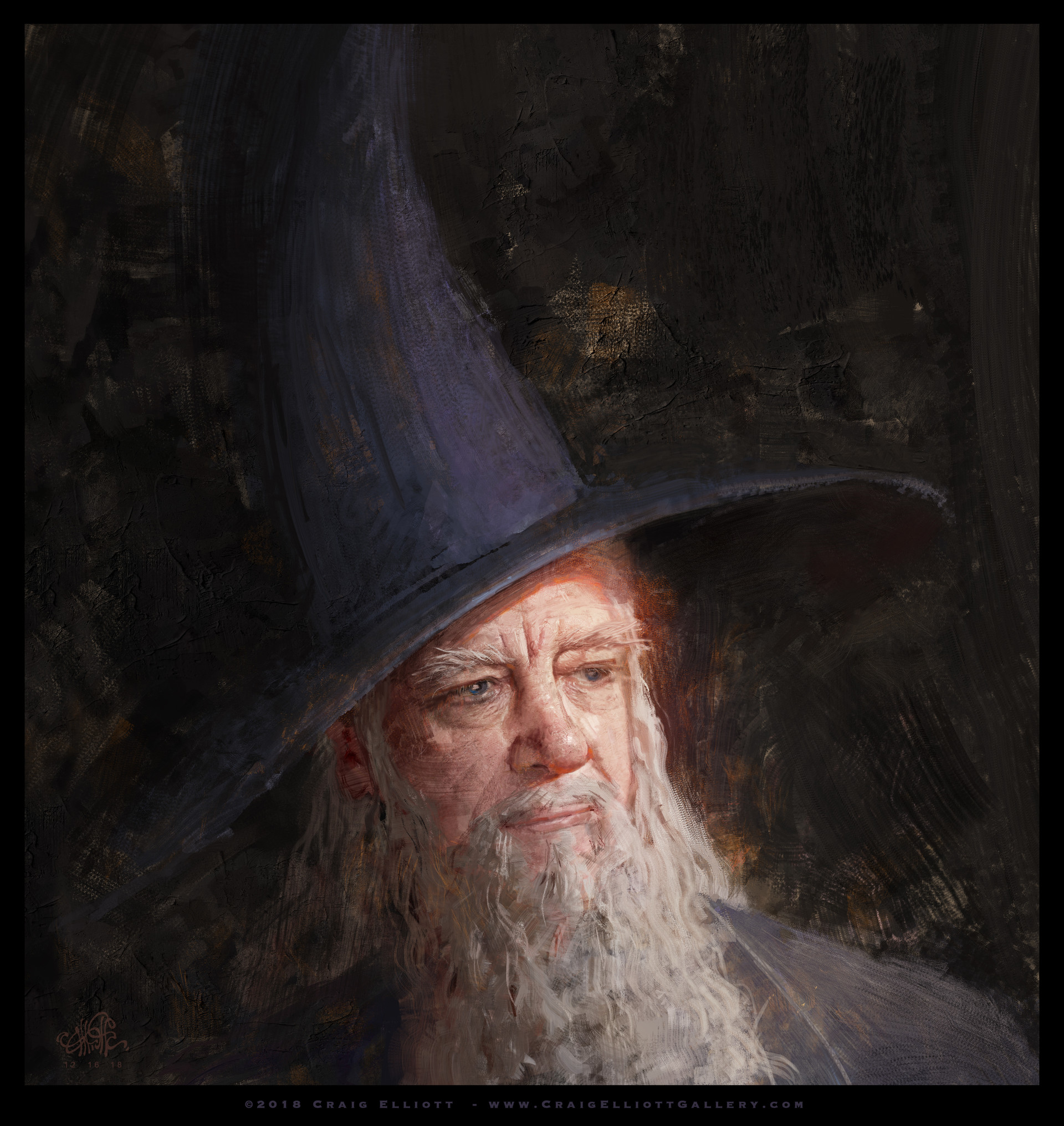 Gandalf Wizard Portrait The Lord Of The Rings The Hobbit Digital 1920x2031