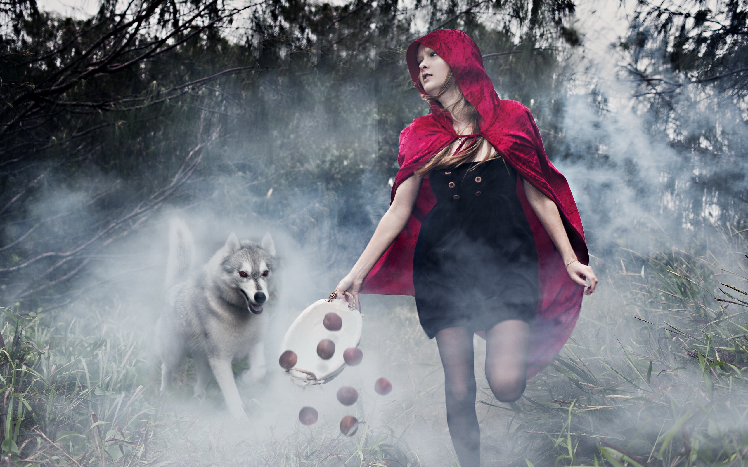 Woman Photography Girl Model Dog Fog Gothic Red Riding Hood 2560x1600