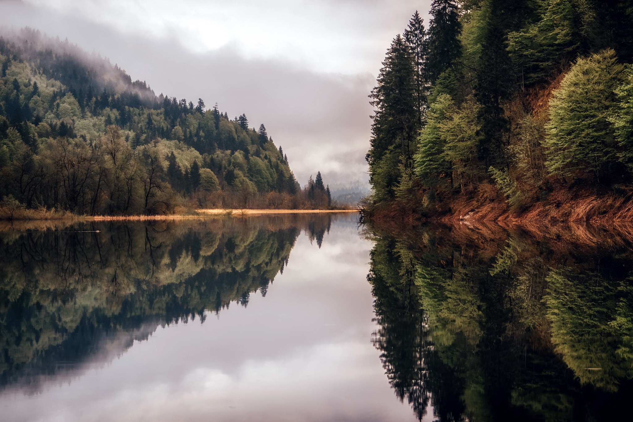 Water Trees Nature Reflection Symmetry Calm Waters Mist Lake 2048x1366