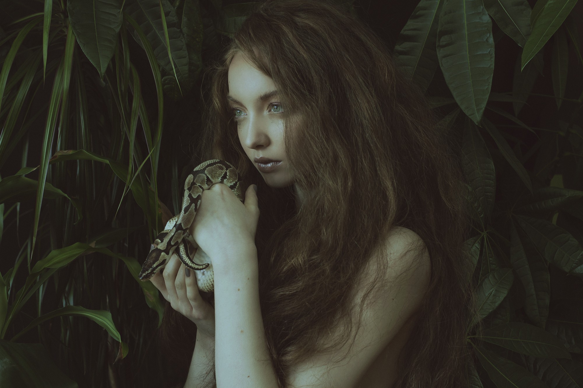 Women Model Marta Bevacqua Brunette Long Hair Snake Blue Eyes Looking Away Leaves Animals Fantasy Gi 2000x1333