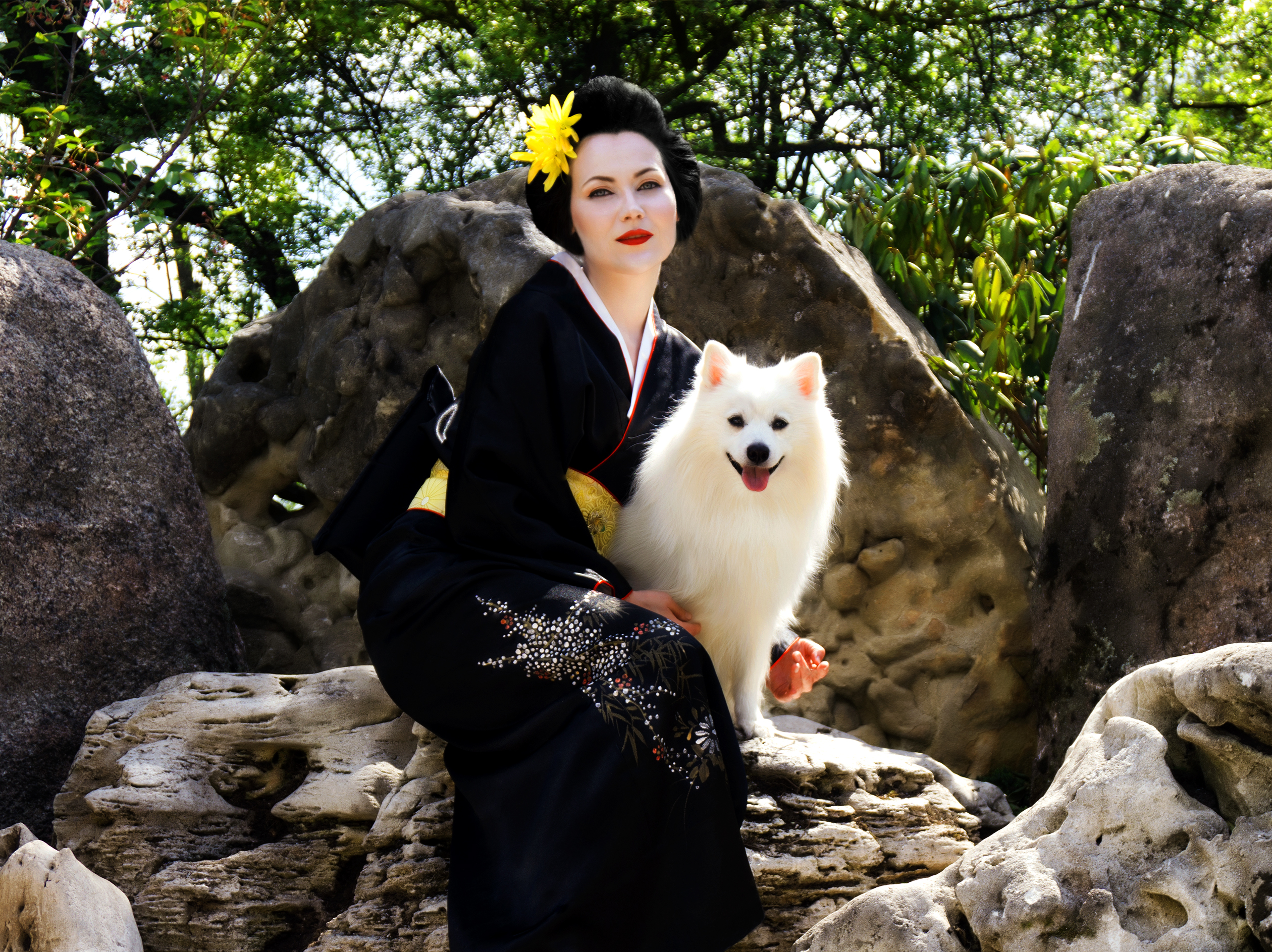 Japanese Spitz White Dogs Kimono Women Geisha Nature Japan Friendship 2520x1887